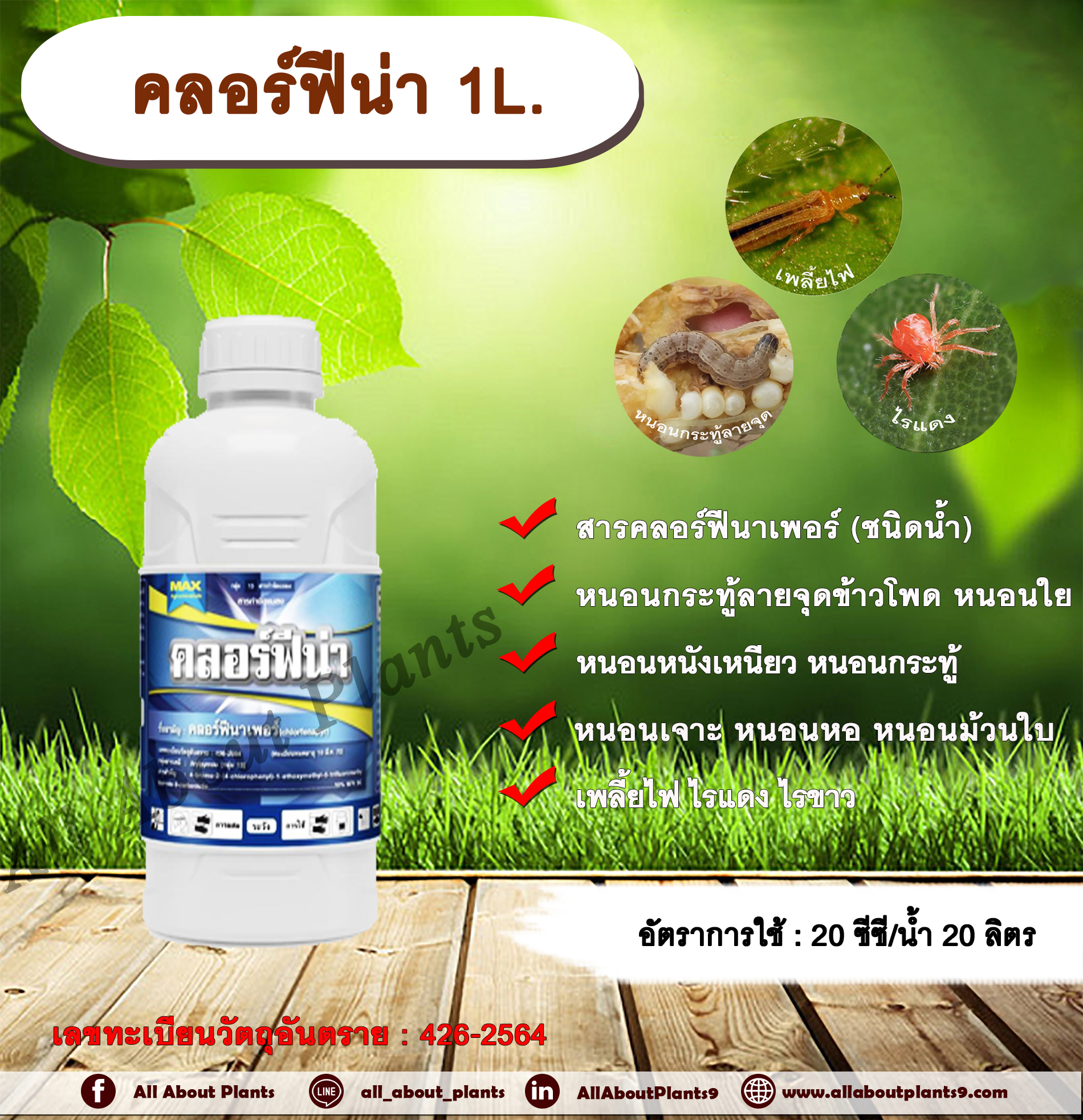 คลอร์ฟีน่า 1L. สารคลอร์ฟีนาเพอร์ กำจัดหนอน หนอนกระทู้ลายจุดข้าวโพด หนอนหนังเหนียว หนอนกระทู้หอม หนอนรัง หนอนกระทู้ผัก หนอนเจาะสมอฝ้าย หนอนใยผัก หนอนห่อใบช้าว หนอนกอข้าว เพลี้ยไฟ ไรแดง ไรขาว ขวด