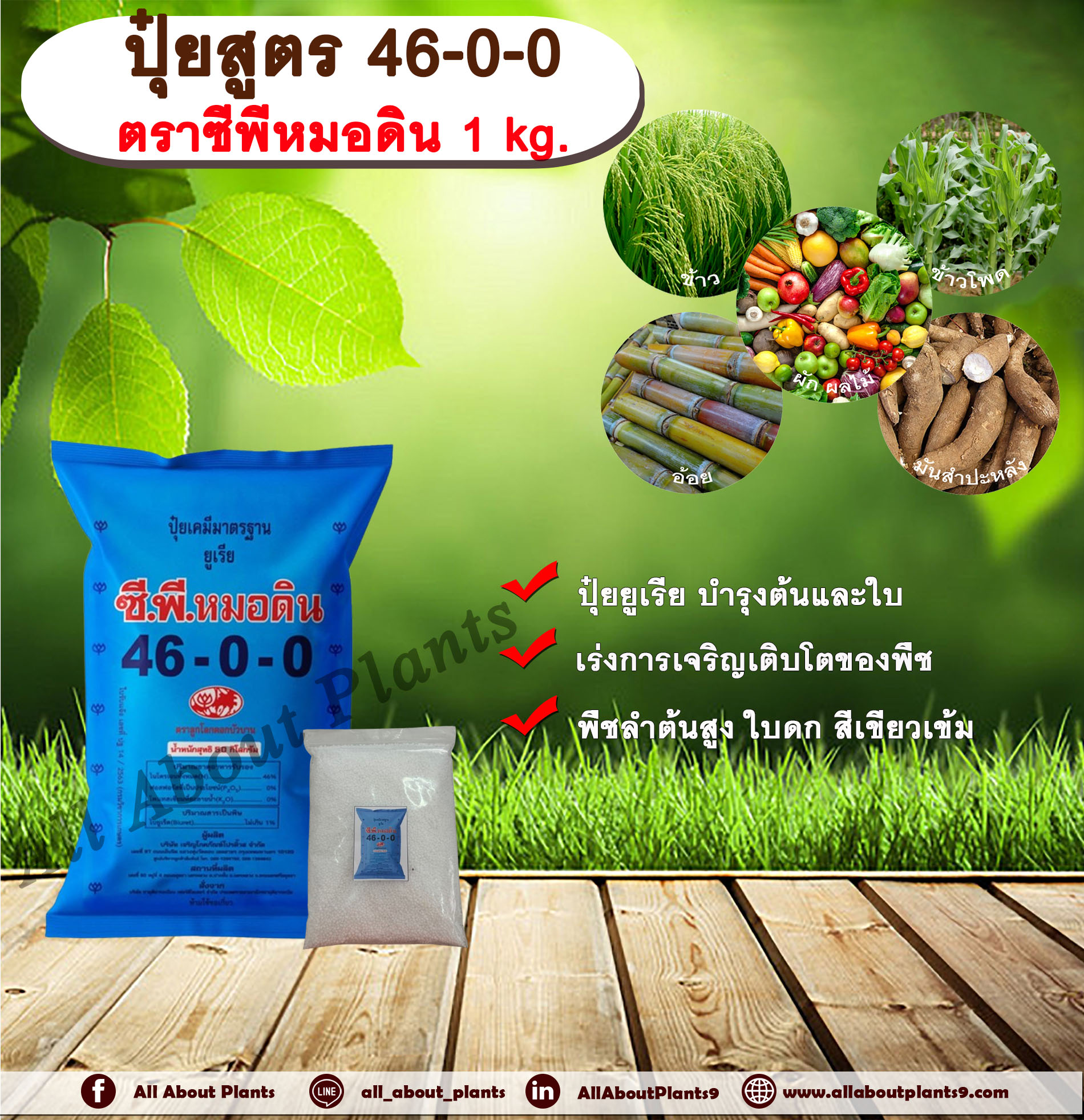 ปุ๋ยสูตร 46-0-0 ตราซีพีหมอดิน 1 kg. ปุ๋ยยูเรีย บำรุงต้นและใบ เร่งการเจริญเติบโตของพืช พืชลำต้นสูง ใบดก สีเขียวเข้ม ถุง
