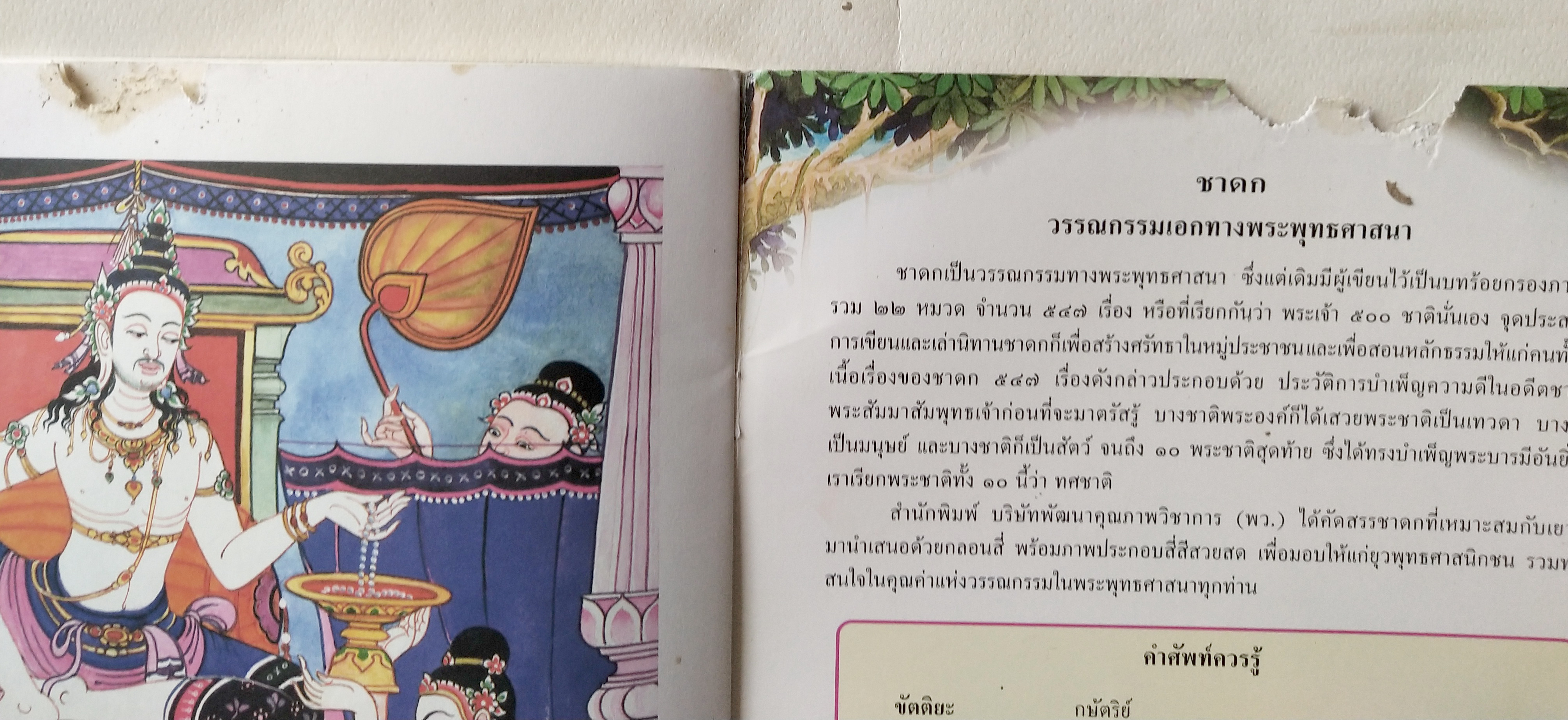 หนังสือภาพสวย มีตำหนิโปรดตรวจสอบทุกภาพ หนังสือภาพชุดนิทานชาดก เรื่องลิงกับไข่มุก เขียนเรื่องโดย บุษบง โควินทร์ เขียนภาพโดย กาญจนา ภูมิสูง พิมพ์ครั้งที่ 3 มกราคม 2548
