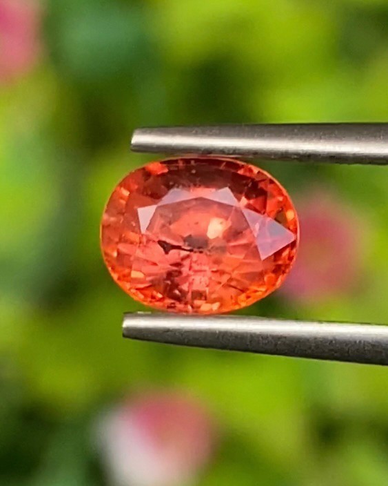 พลอย ออเรนจ์ แซฟไฟร์ Orange Sapphire 1.29 กะรัต (Cts.) พลอยแท้ อัญมณีมงคลประจําวันเกิด เครื่องประดับพลอย