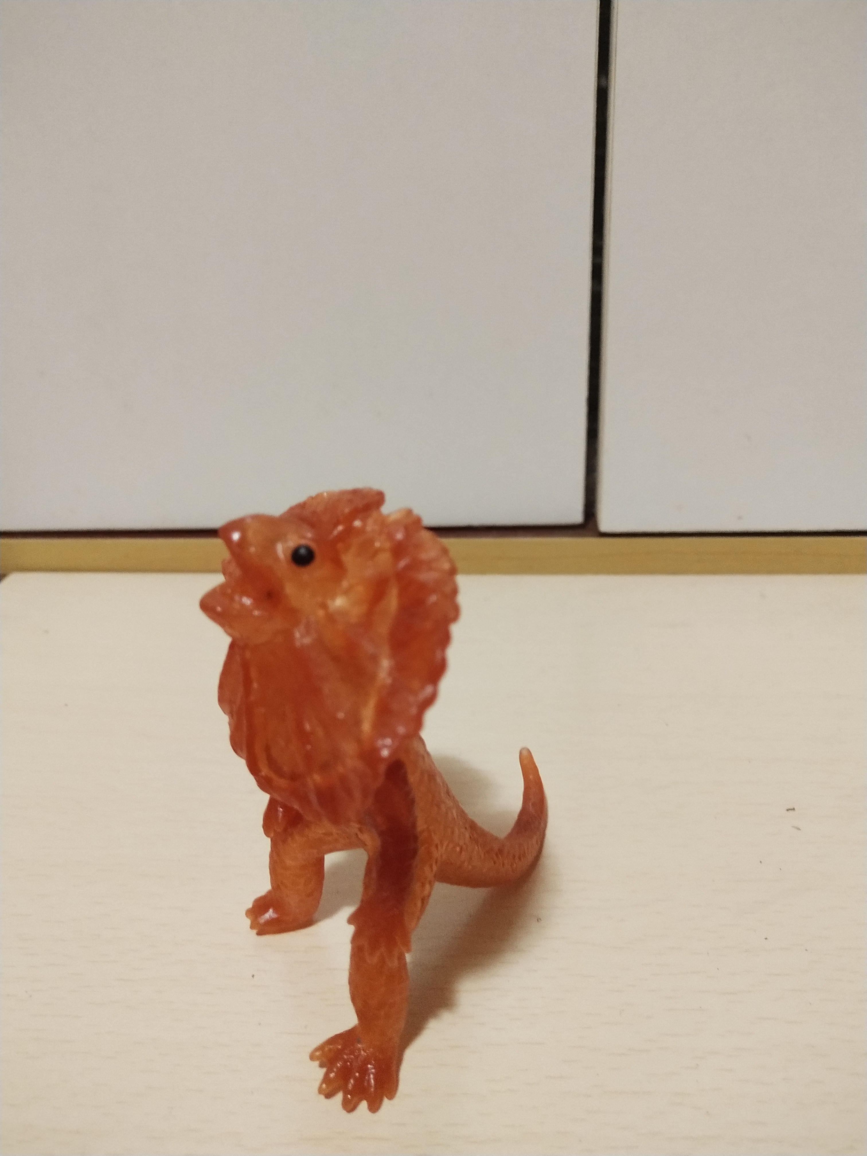 มีหลายภาพ, กิ้งก่ากายสิทธิ์ตัวยางใสสีส้ม