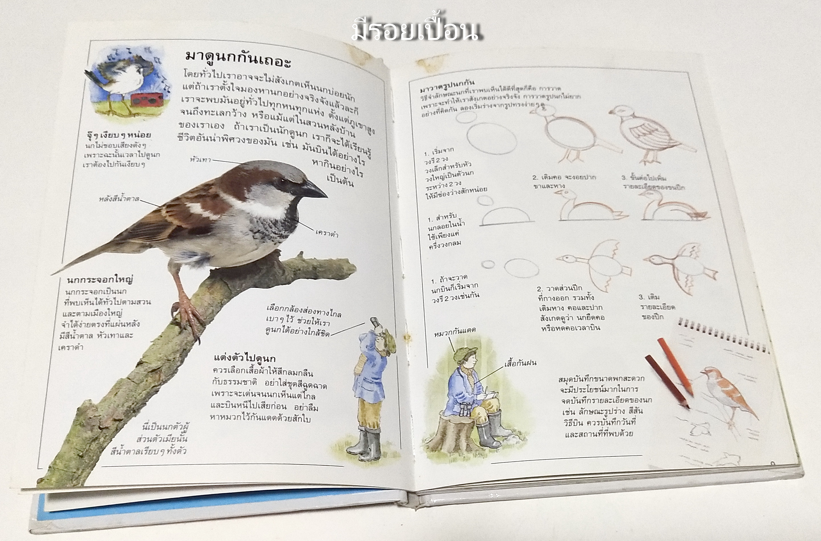 หนังสือภาพสีสวย กระดาษมัน ปกแข็ง "นก A DORING KINDERSLEY BOOK " สำรวจและเรียนรู้โลกน่ารักน่าพิศวงของนก แปลโดย นพ.รังสฤษฏิ์ กาญจนวณิชย์ พิมพ์ครั้งแรก เมษษยน 2536