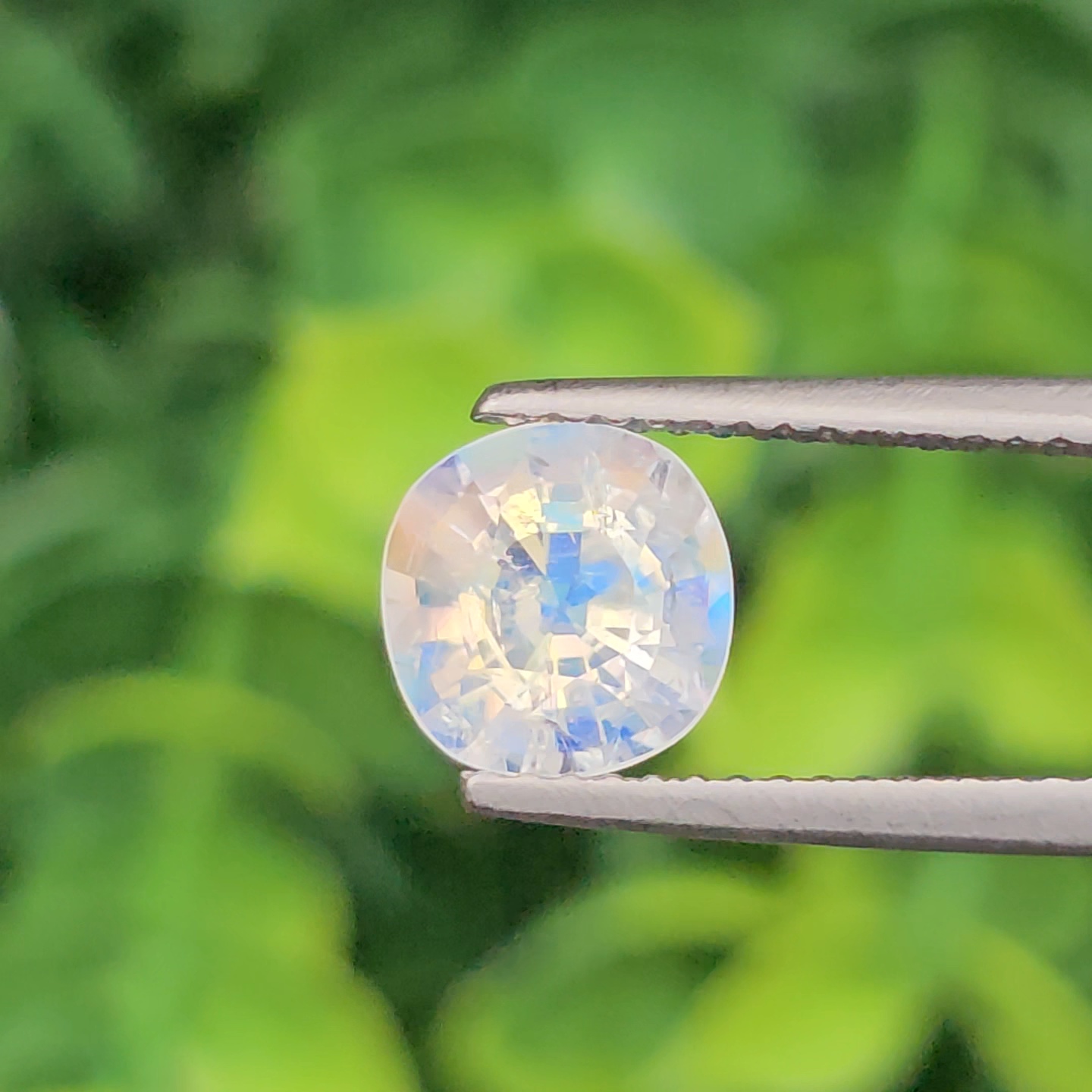 พลอย มูนสโตน เรนโบว์ rainbow moonstone 1.47 กะรัต (cts.) พลอยแท้ อัญมณีมงคลประจําวันเกิด เครื่องประดับพลอย