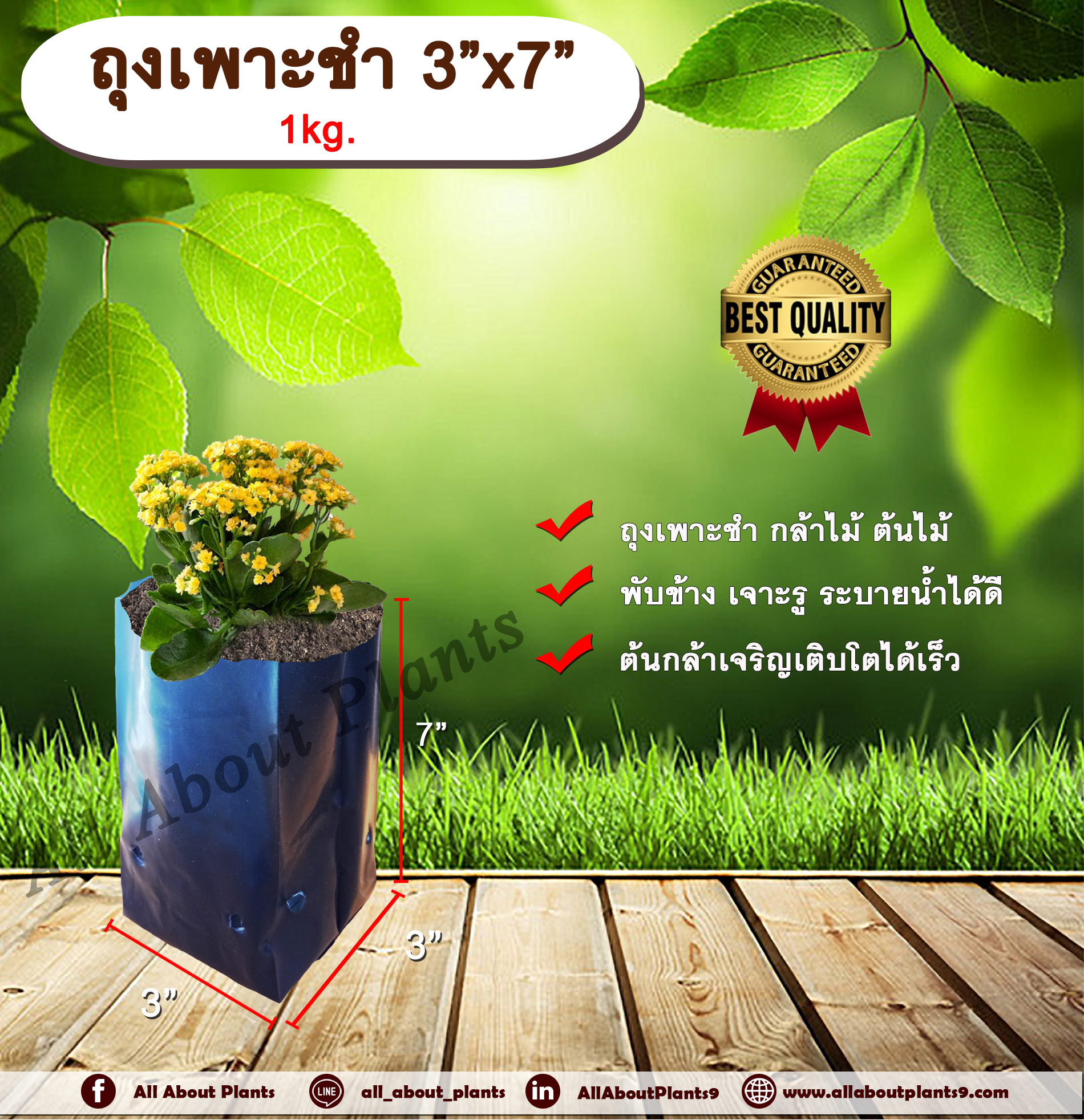ถุงเพาะชำ 3”x7” 1 kg. ถุงเพาะชำสีดำ ถุงเพาะชำกล้าไม้ ต้นไม้ ถุงดำ allaboutplants ชิ้น