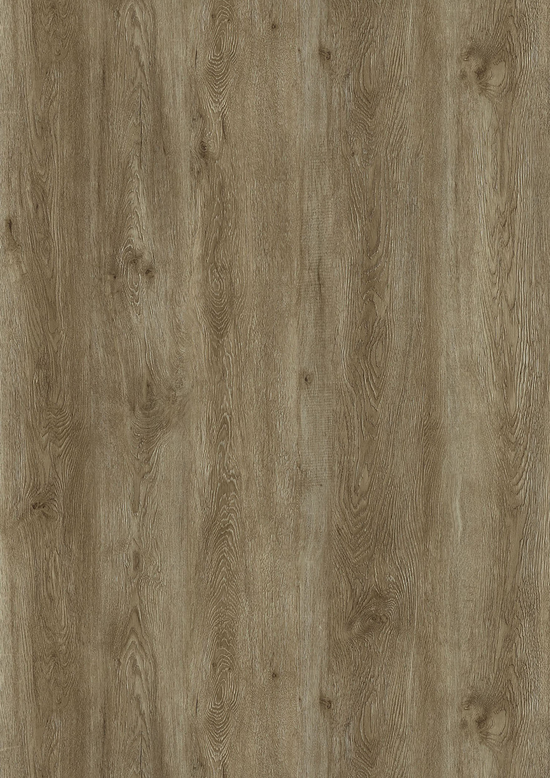 SMP-8023-WG Oak Wood