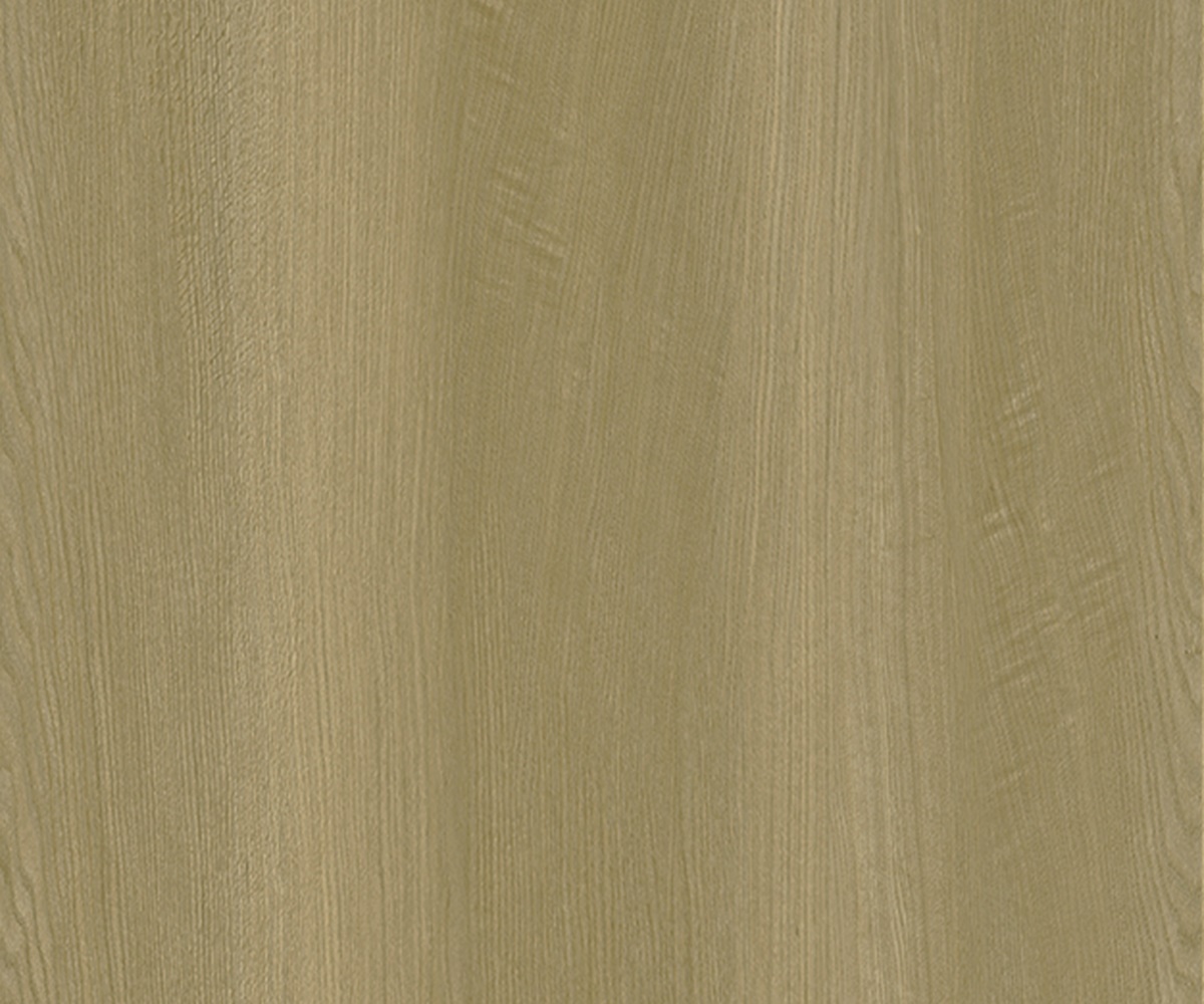 SP509-A3