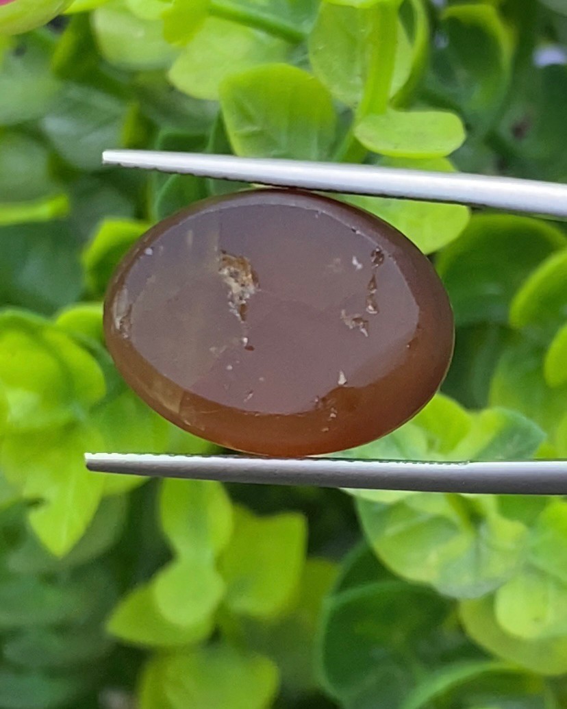 พลอย ตาแมว อะพาไทต์ Cat eye Apatite 25.00 กะรัต (Cts.) พลอยแท้ อัญมณีมงคลประจําวันเกิด เครื่องประดับพลอย