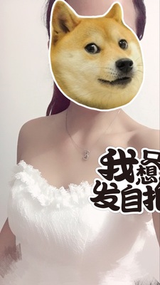 ชุดแต่งงาน เกาะอก หน้าสั้นหลังยาว