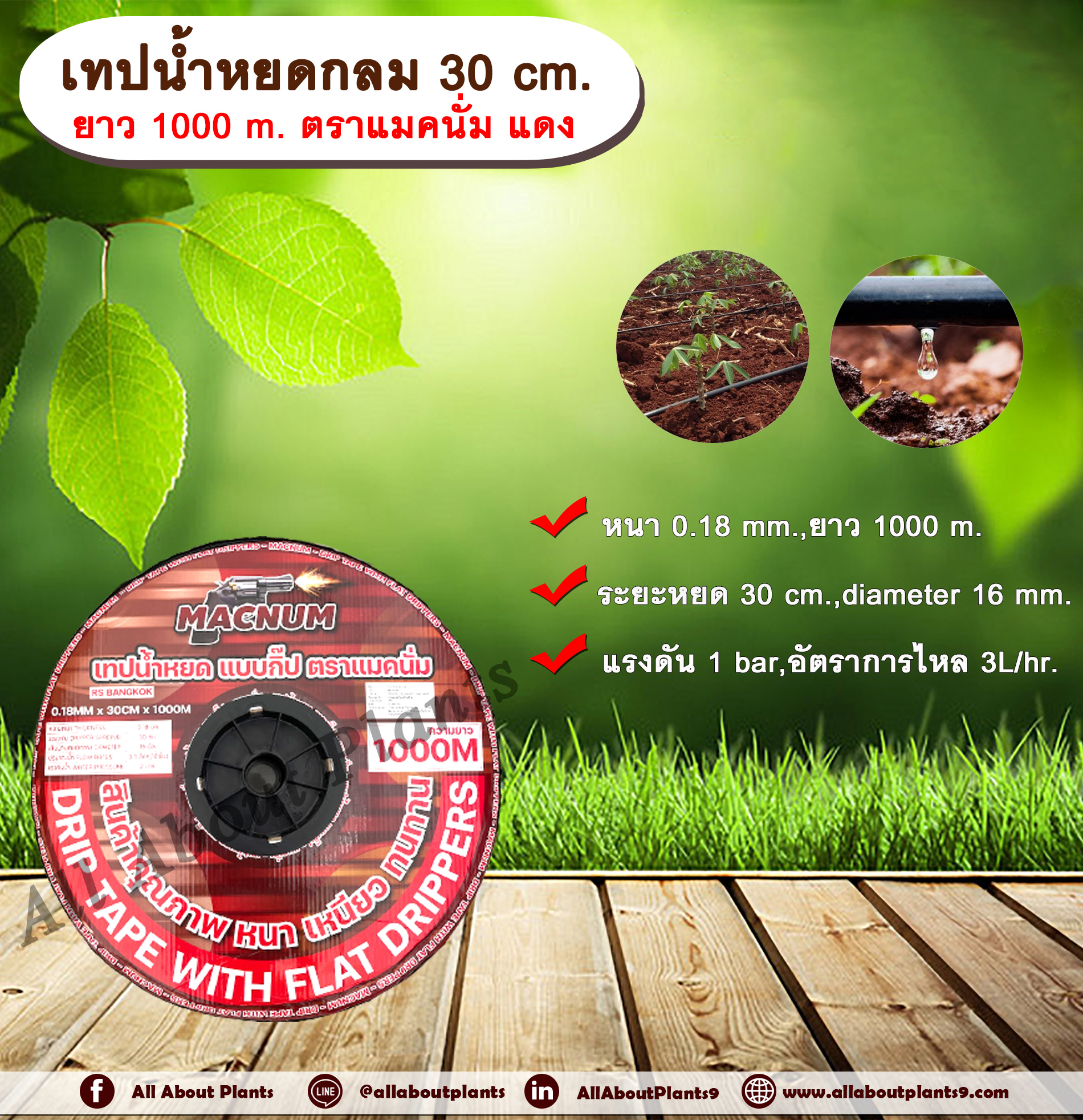 เทปน้ำหยด 30 cm. ยาว 1000 m. ตราแมคนั่ม แดง เทปน้ำหยด สายน้ำหยด แบบกลม แบบกิ๊ป ระยะห่างรู 30 cm. หนา 0.18 mm. ยาว 1000 m. Drip Tape ชิ้น