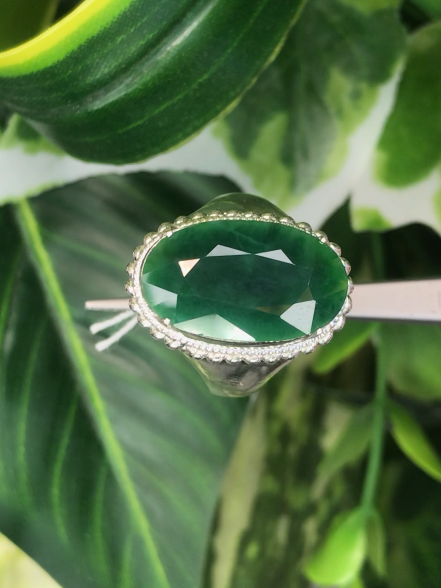หยก พม่า แท้ Jade แหวนหยก 翡翠戒指 (Jadeite ring) ดิบ (Size) 58 ไม่ผ่านการปรับปรุง (Type A) พม่า (Myanmar)