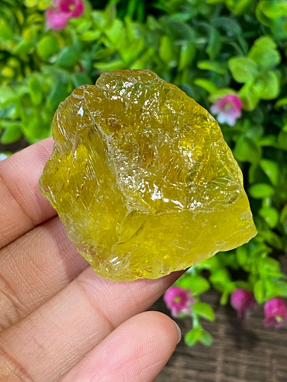 ก้อน เลมอนควอตซ์ Lemon Quartz Rough 205.62 กะรัต (Cts.) พลอยแท้ อัญมณีมงคลประจําวันเกิด เครื่องประดับพลอย