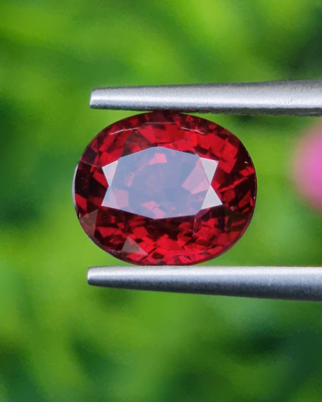 พลอย โรโดไลต์ กาเน็ท Rhodolite Garnet 2.68 กะรัต Cts.พลอยแท้ อัญมณีมงคลประจําวันเกิด เครื่องประดับพลอย