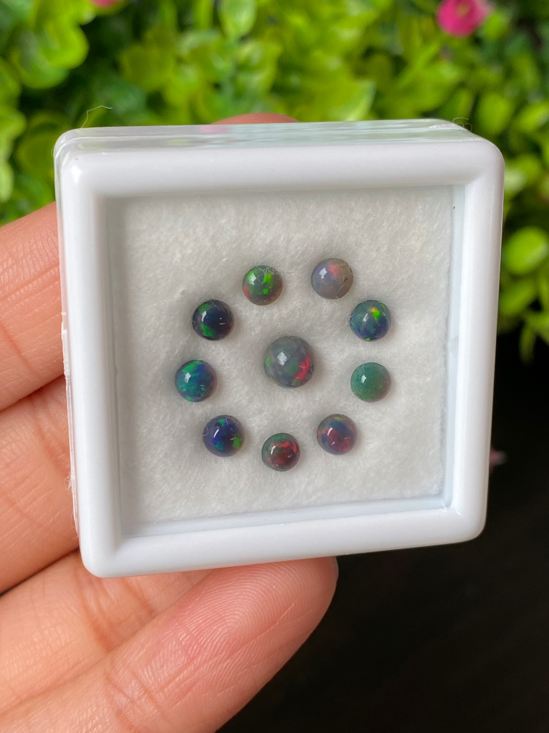 พลอย แบล็ก โอปอล Black Opal 1.98 กะรัต (Cts.) 10 เม็ด (Pcs.) พลอยแท้ อัญมณีมงคลประจําวันเกิด เครื่องประดับพลอย