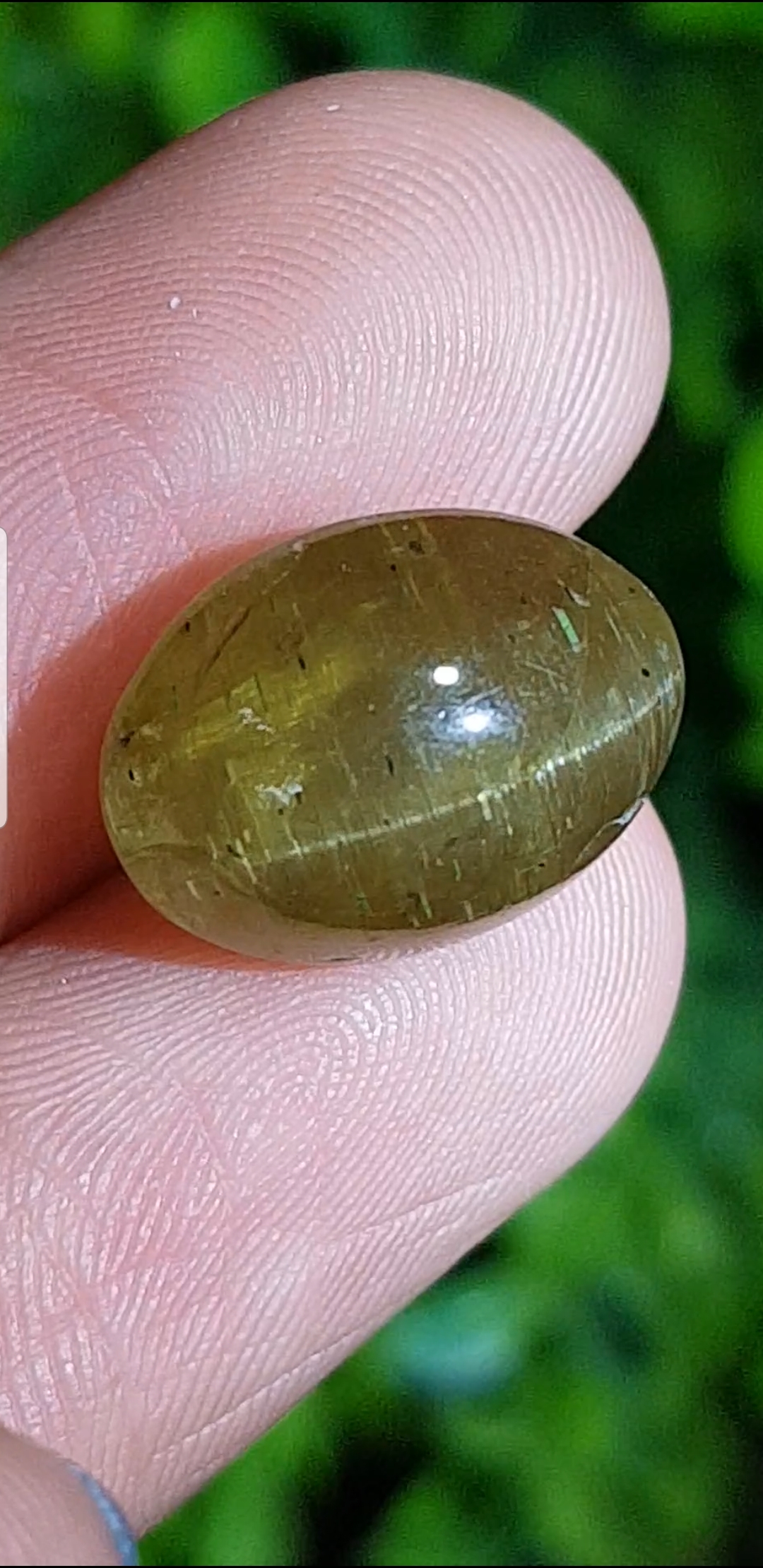 พลอย ตาแมว อะพาไทต์ Cat eye Apatite 11.68 กะรัต (Cts.) พลอยแท้ อัญมณีมงคลประจําวันเกิด เครื่องประดับพลอย