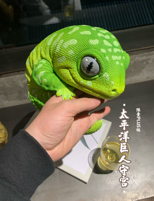 (PRE-ORDER) GEKKONIDAE BIG SIZE