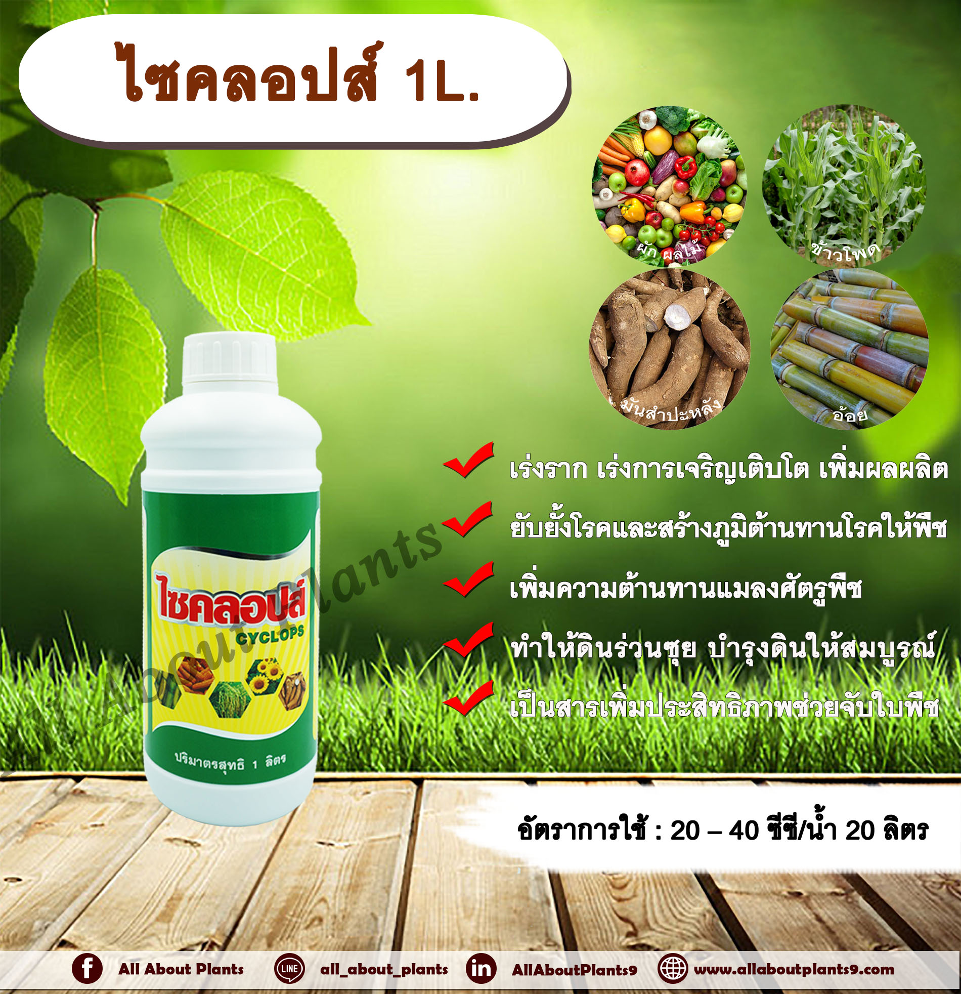 ไซคลอปส์ 1L. ไคโตซานเกรดพรีเมี่ยม บำรุงราก เร่งราก เร่งโต เพิ่มผลผลิต สร้างภูมิต้านทานให้พืช ต้านทานโรคและแมลง ทำให้ดินร่วนซุย บำรุงดินให้สมบูรณ์ สารเพิ่มประสิทธิภาพ ช่วยจับใบพืช allaboutplants ชิ้น