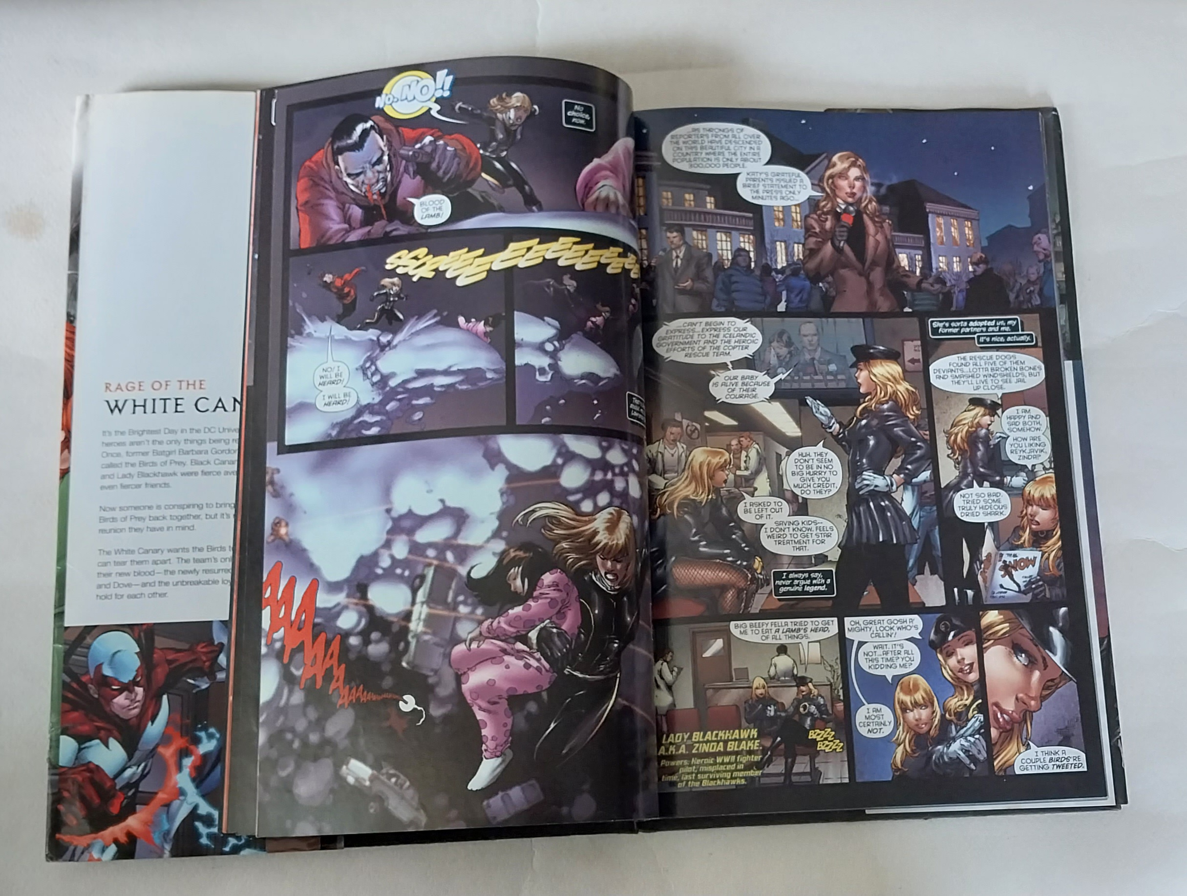 หนังสือภาพการ์ตูน ปกแข็ง มีปกหุ้ม **มีตำหนิ โปรดดูทุกภาพ,DC comics ฉบับภาษาอังกฤษ brightest Day Birds of prey End Run, โดย Gail Simons ed Benes, Adriana Melo Alvin lee หนังสือปกแข็งมีปกหุ้ม กระดาษมัน ภาพสีทั้งเล่ม