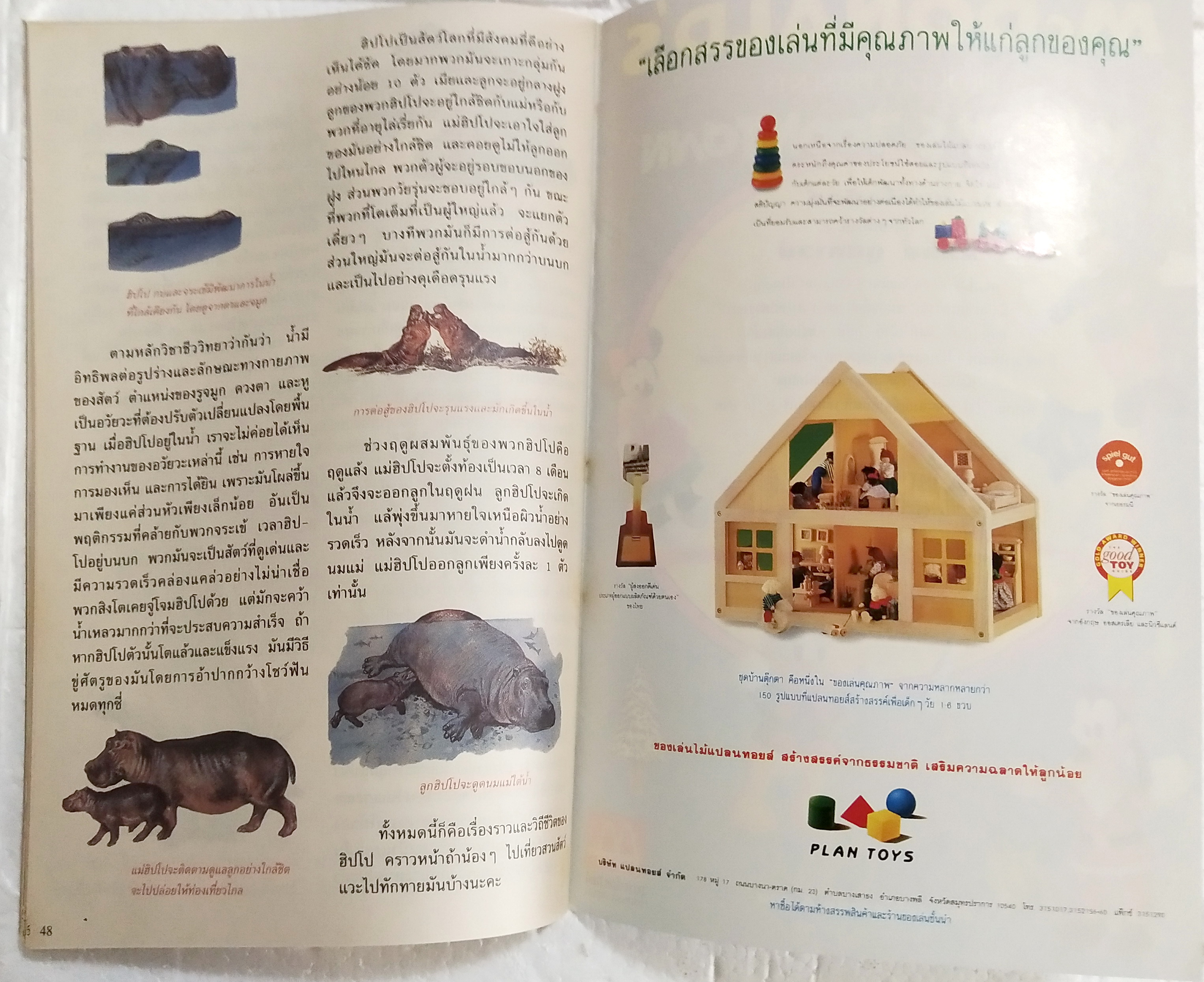 นิตยสารการ์ตูนเก่าภาษาไทย -อังกฤษ ชิป กับ เดล CHIP 'N' DALE ฉบับที่ 156 Walt Disney , ตอน แด่เนยแข็งด้วยความรัก