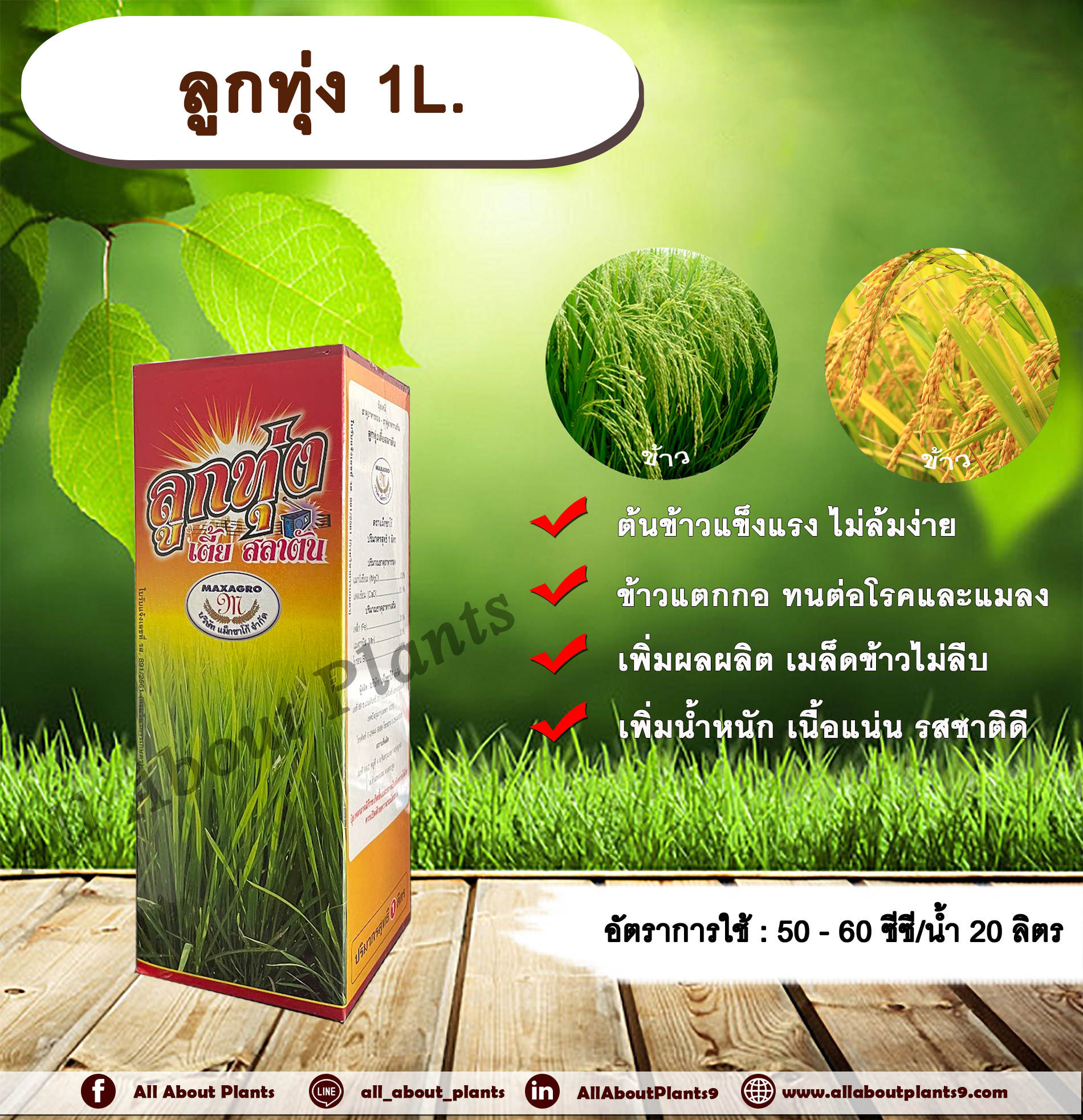 ลูกทุ่ง 1L. ธาตุอาหารรอง ธาตุอาหารเสริม ฮอร์โมนพืช ข้าวแข็งแรง ไม่ล้มง่าย ข้าวแตกกอ ทนต่อโรคและแมลง เมล็ดข้าวไม่ลีบ เพิ่มผลผลิต เพิ่มน้ำหนัก เนื้อแน่น รสชาติดี allaboutplants ชิ้น
