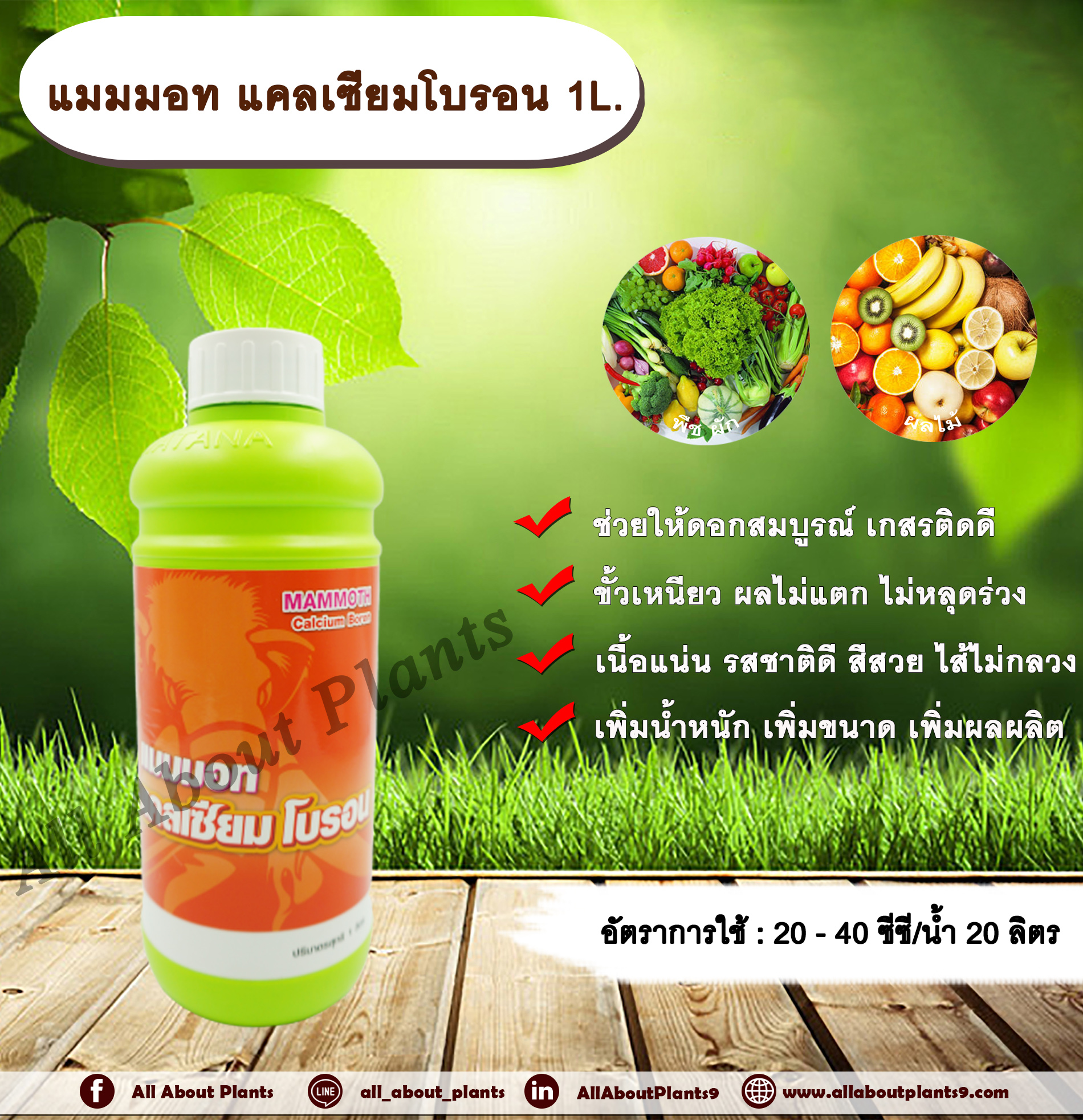 แมมมอท แคลเซียมโบรอน 1L. ธาตุอาหารรอง ธาตุอาหารเสริม ฮอร์โมนพืช แคลเซียม โบรอน ดอกสมบูรณ์ เกสรติดดี ขัวเหนียว ไส้ไม่กลวง เallaboutplantsพิ่มน้ำหนัก เพิ่มขนาด เพิ่มผลผลิต ชิ้น