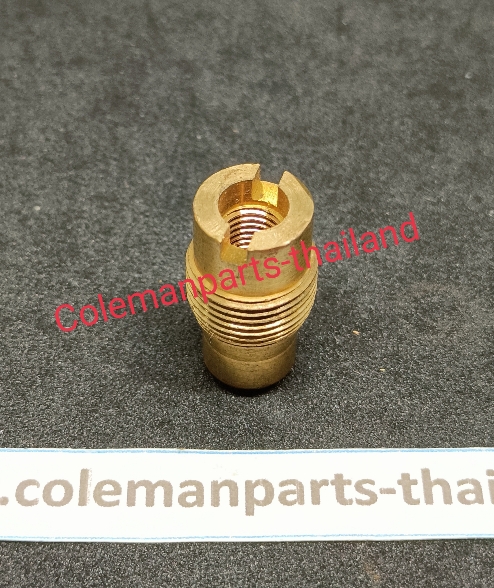 Check Valve Coleman 252, 220B (New old stock)