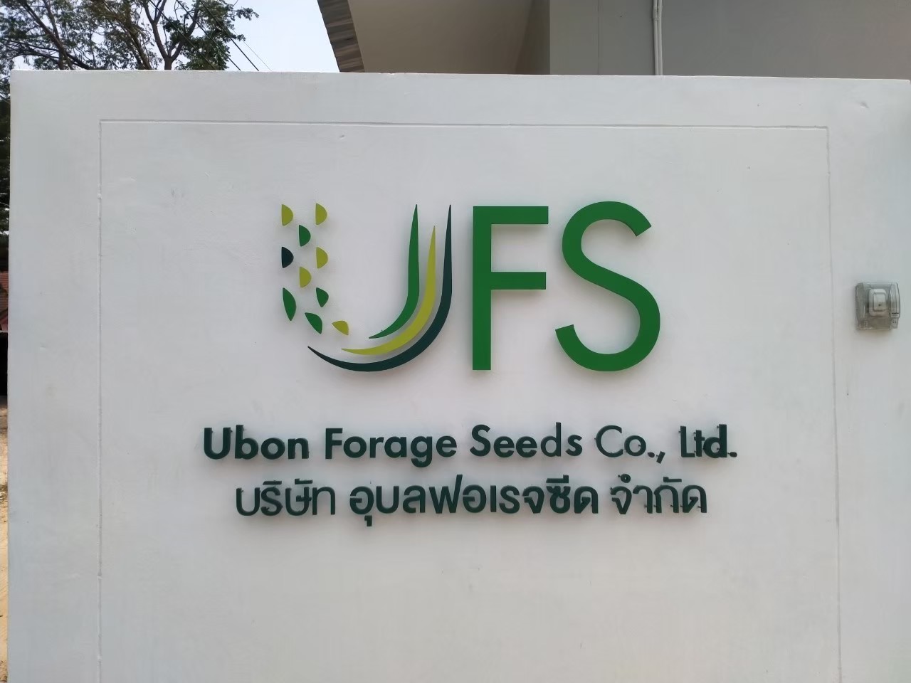 ป้ายไฟออกหลัง