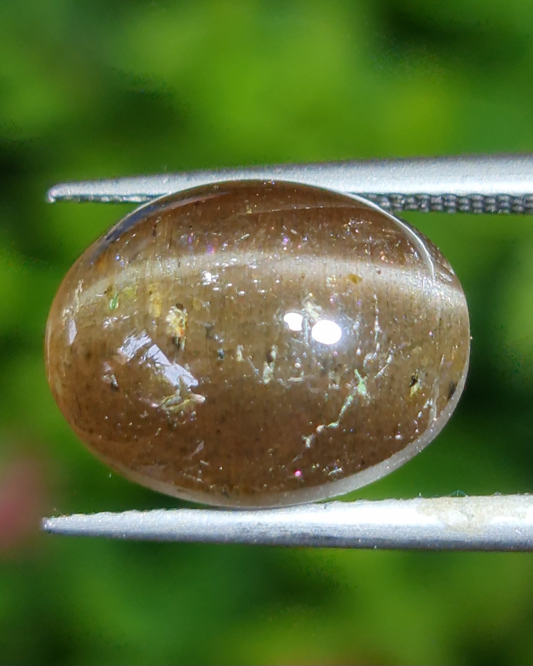 ตาแมว ทัวร์มาลีน Cat eye Tourmaline 7.44 กะรัต Cts. พลอยแท้ อัญมณีมงคลประจําวันเกิด เครื่องประดับพลอย