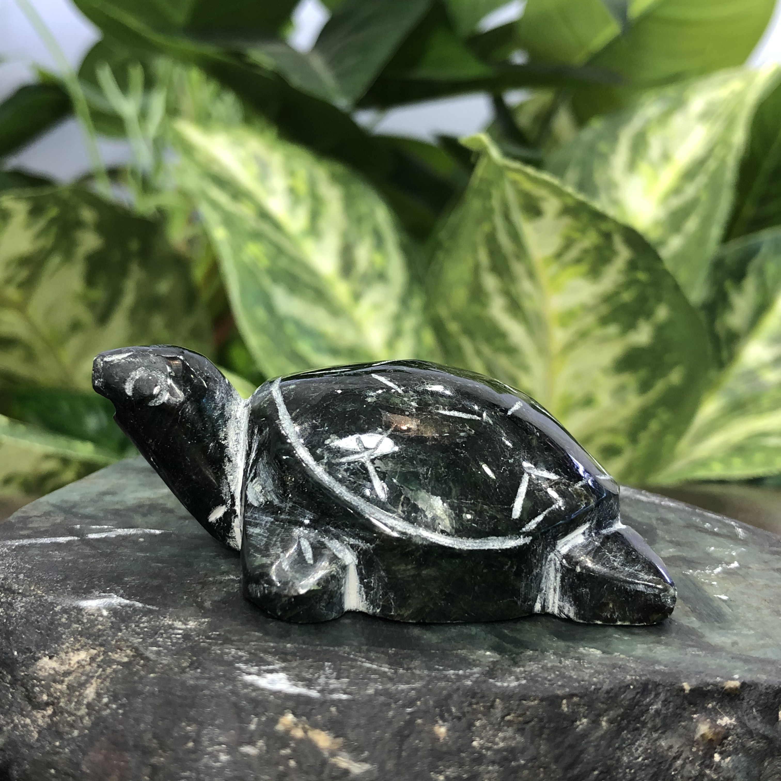 หยกแกะสลัก เต่า หยก พม่า แท้ (Burmese jadeite)