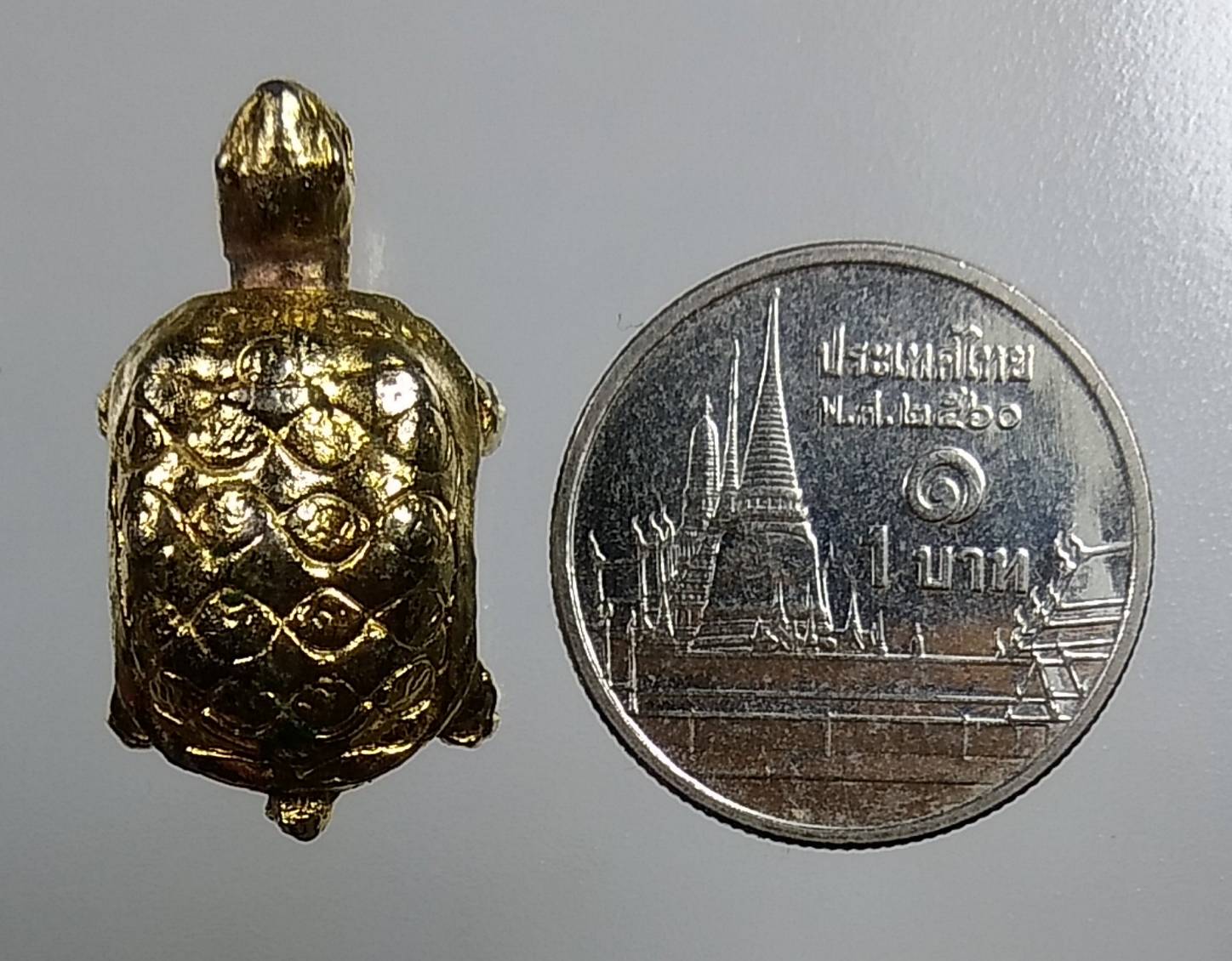 L073 เต่าหลวงพ่อทรัพย์ วัดอินทาราม (ตลุก) จ.ชัยนาท