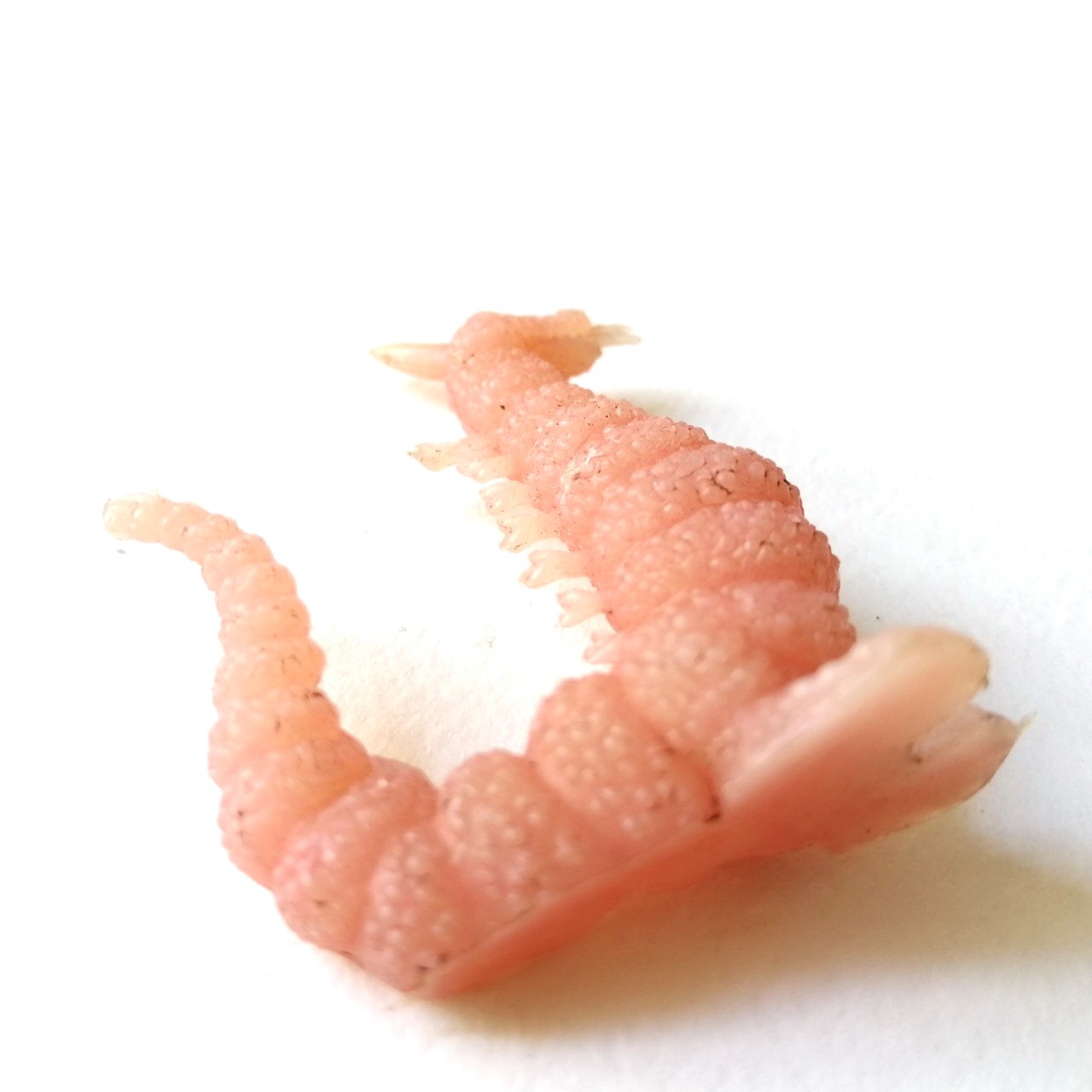 ตุ๊กตุ่นแอ๊นท์ถุงถั่ว สัตว์ประหลาด ขนาด 2.5 นิ้ว สีชมพู เหมือนมังกรแลบลิ้น งานเก่าหายาก สภาพดี