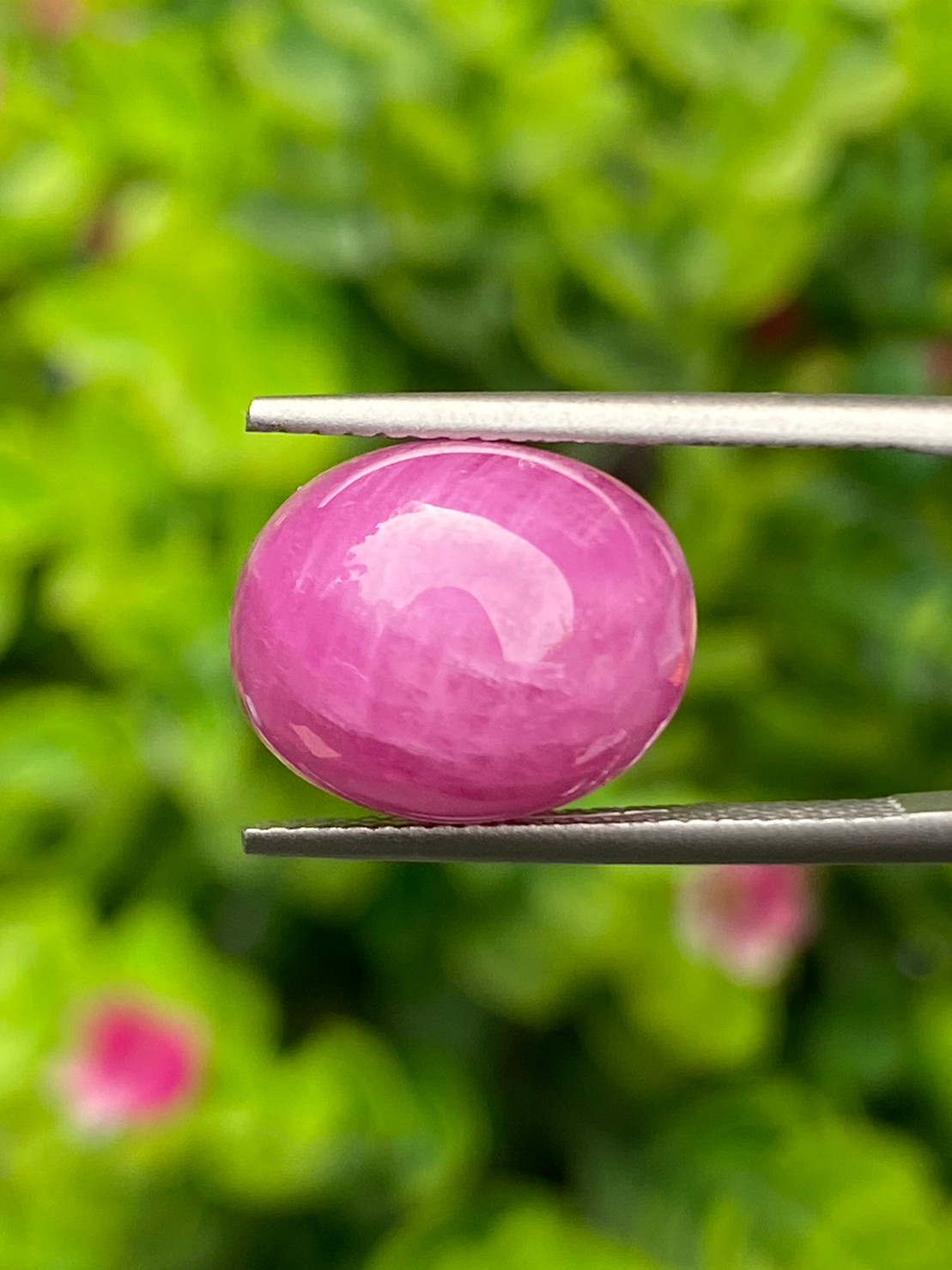 พลอย ทับทิม (Ruby Sapphire) 13.34 กะรัต (Cts.) พลอยแท้ อัญมณีมงคลประจําวันเกิด เครื่องประดับพลอย