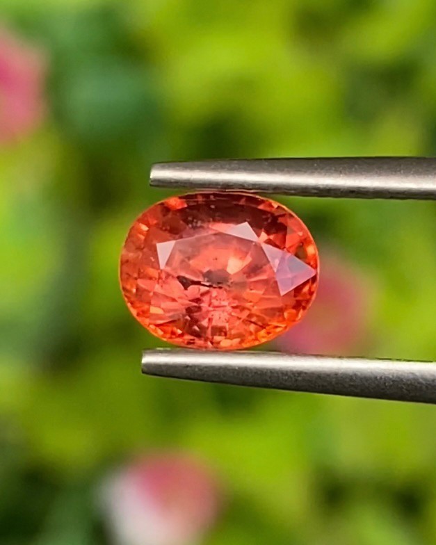 พลอย ออเรนจ์ แซฟไฟร์ Orange Sapphire 1.29 กะรัต (Cts.) พลอยแท้ อัญมณีมงคลประจําวันเกิด เครื่องประดับพลอย