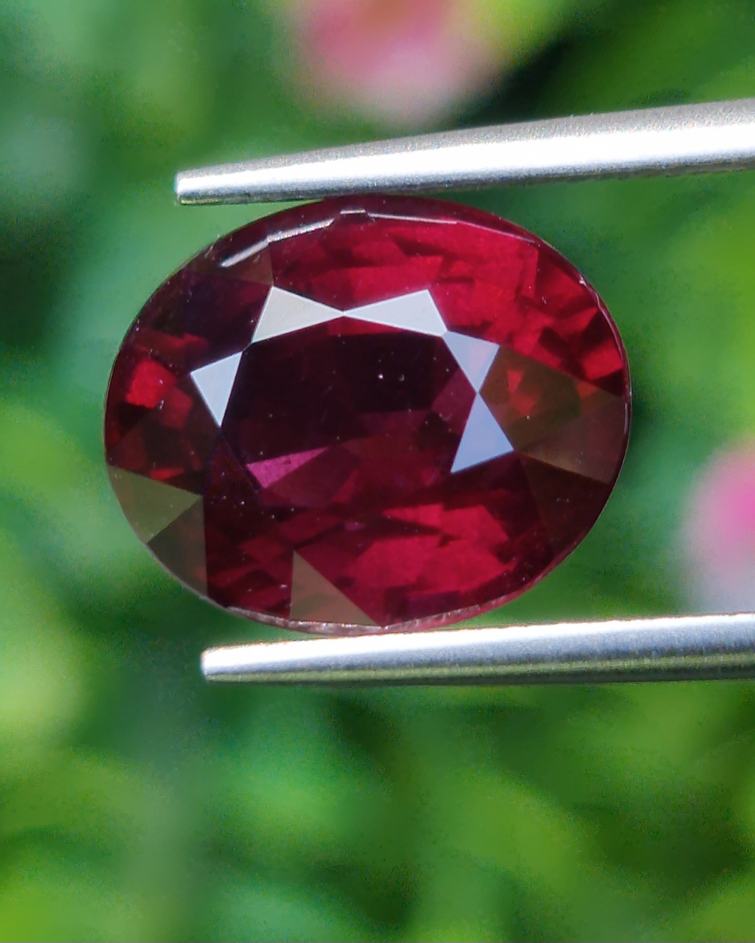 พลอย โรโดไลต์ กาเน็ท Rhodolite Garnet 8.50 กะรัต Cts.พลอยแท้ อัญมณีมงคลประจําวันเกิด เครื่องประดับพลอย