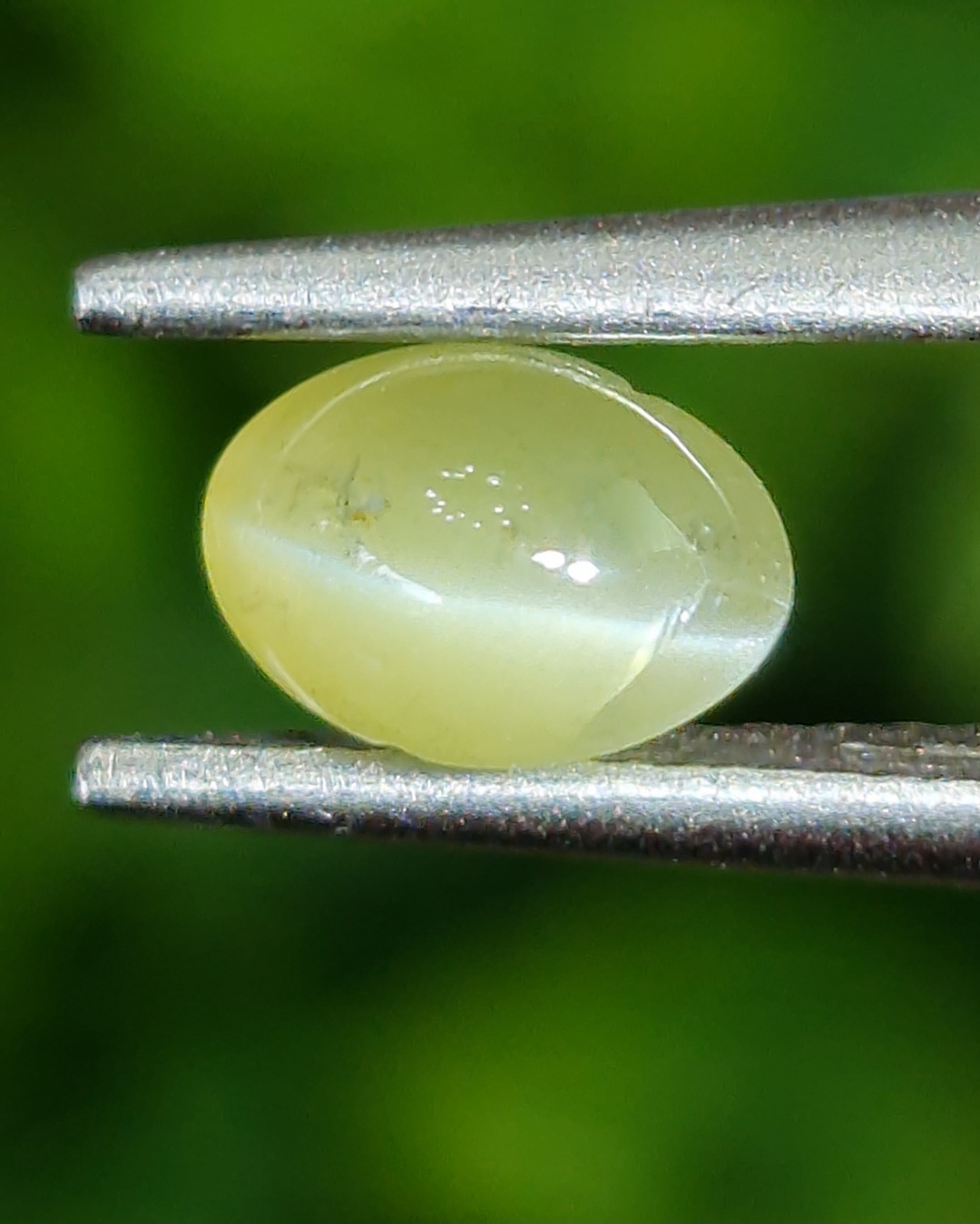พลอย ตาแมว คริโซเบริล Cat eye Chrysoberyl 1.20 กะรัต (Cts.) พลอยแท้ อัญมณีมงคลประจําวันเกิด เครื่องประดับพลอย