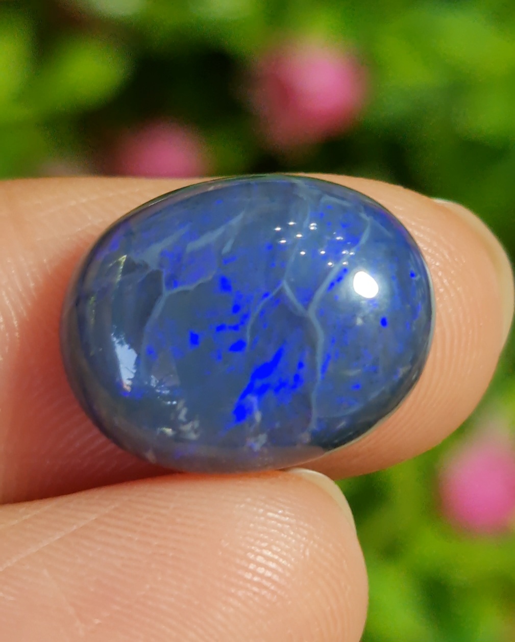 พลอย โบลเดอร์ โอปอล ออสเตรเลีย Australian Boulder Opal 7.30 กะรัต (Cts.) พลอยแท้ อัญมณีมงคลประจําวันเกิด เครื่องประดับพลอย