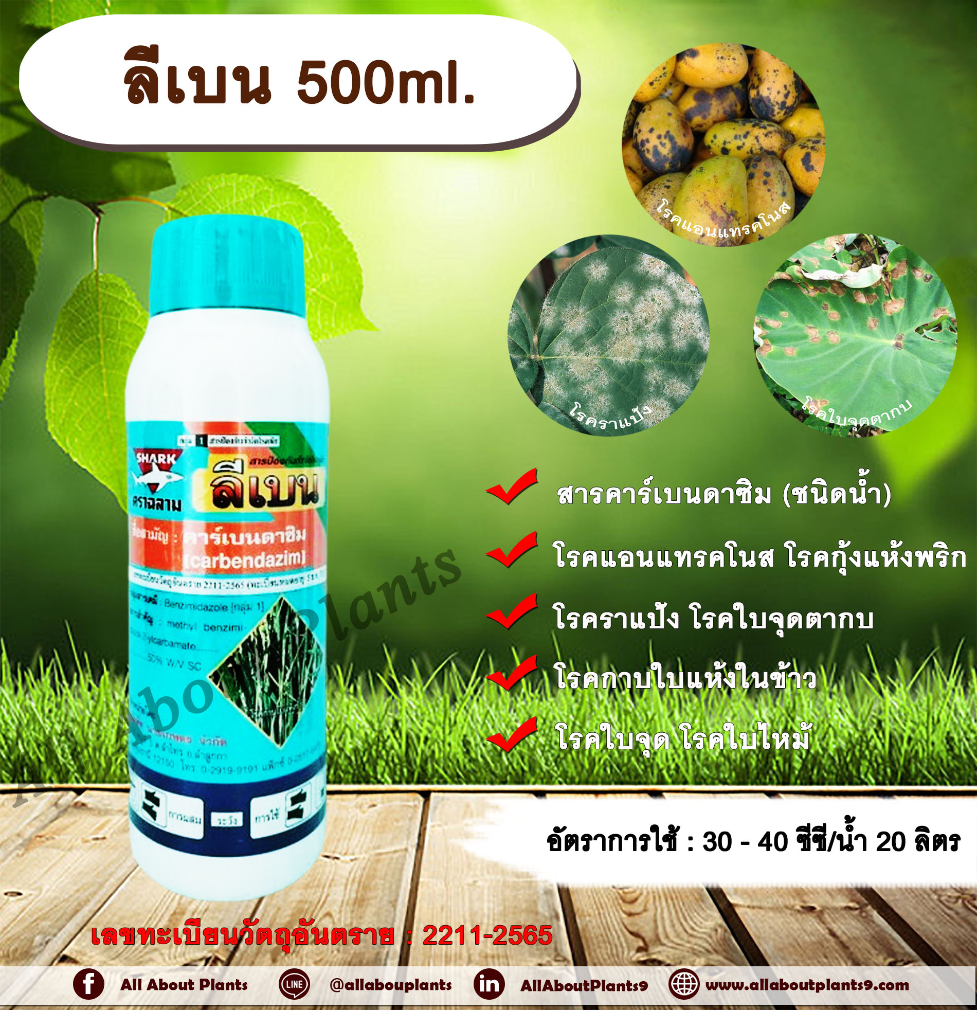 ลีเบน 500ml. คาร์เบนดาซิม สารป้องกันและกำจัดเชื้อรา แบบดูดซึม โรคราแป้ง โรคแอนแทรกโนส โรคกุ้งแห้งพริก โรคใบไหม้ โรคใบจุ ขวด