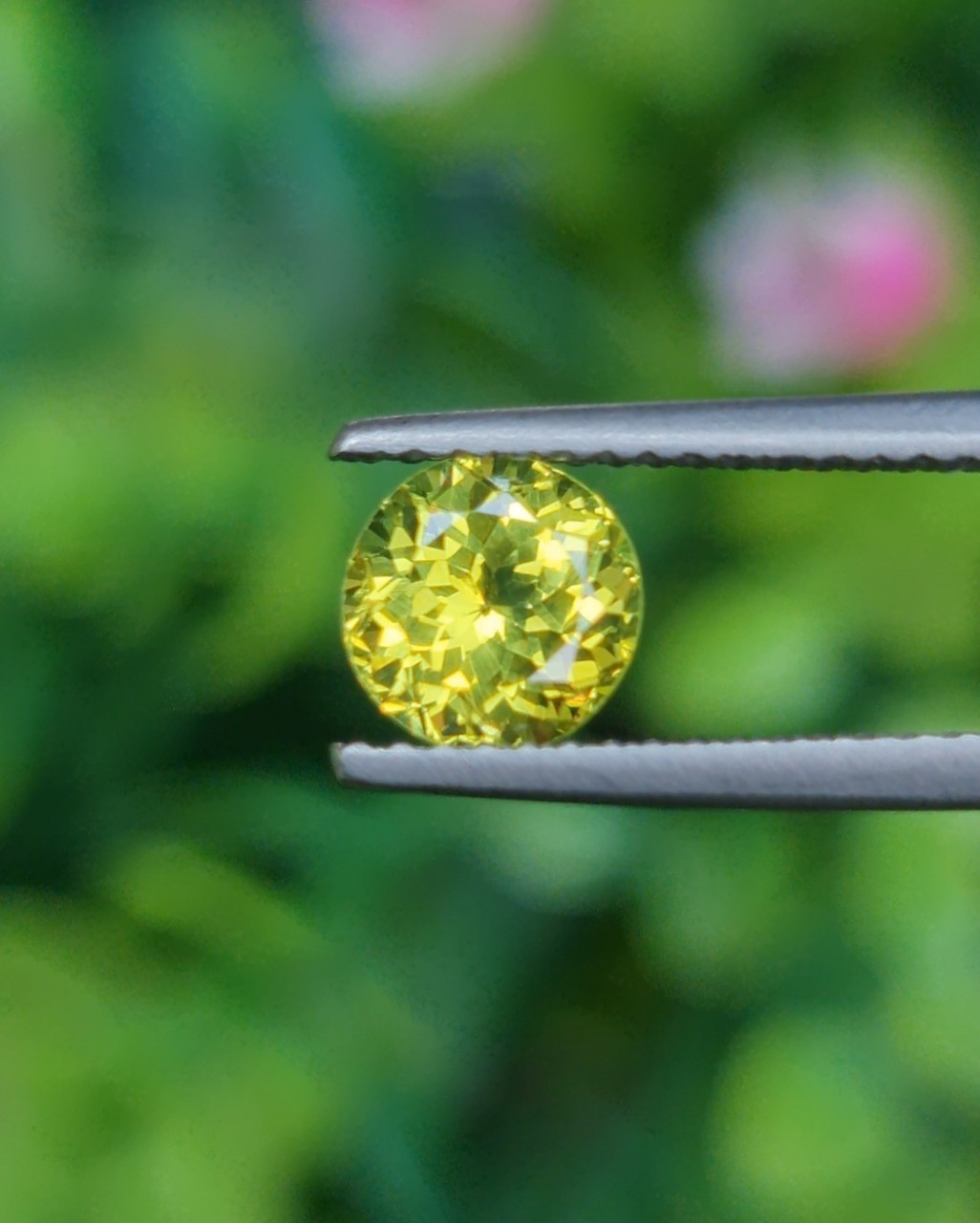 พลอย คริโซเบริล (Chrysoberyl) 1.22 กะรัต (Cts.) พลอยแท้ อัญมณีมงคลประจําวันเกิด เครื่องประดับพลอย