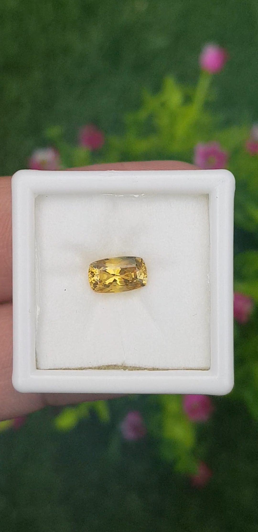 พลอย บุษราคัม Yellow Sapphire 1.34 กะรัต (Cts.) ดิบ ไม่ผ่านการเผา (Unheated) พร้อมใบเซอร์ พลอยแท้ อัญมณีมงคลประจําวันเกิด เครื่องประดับพลอย