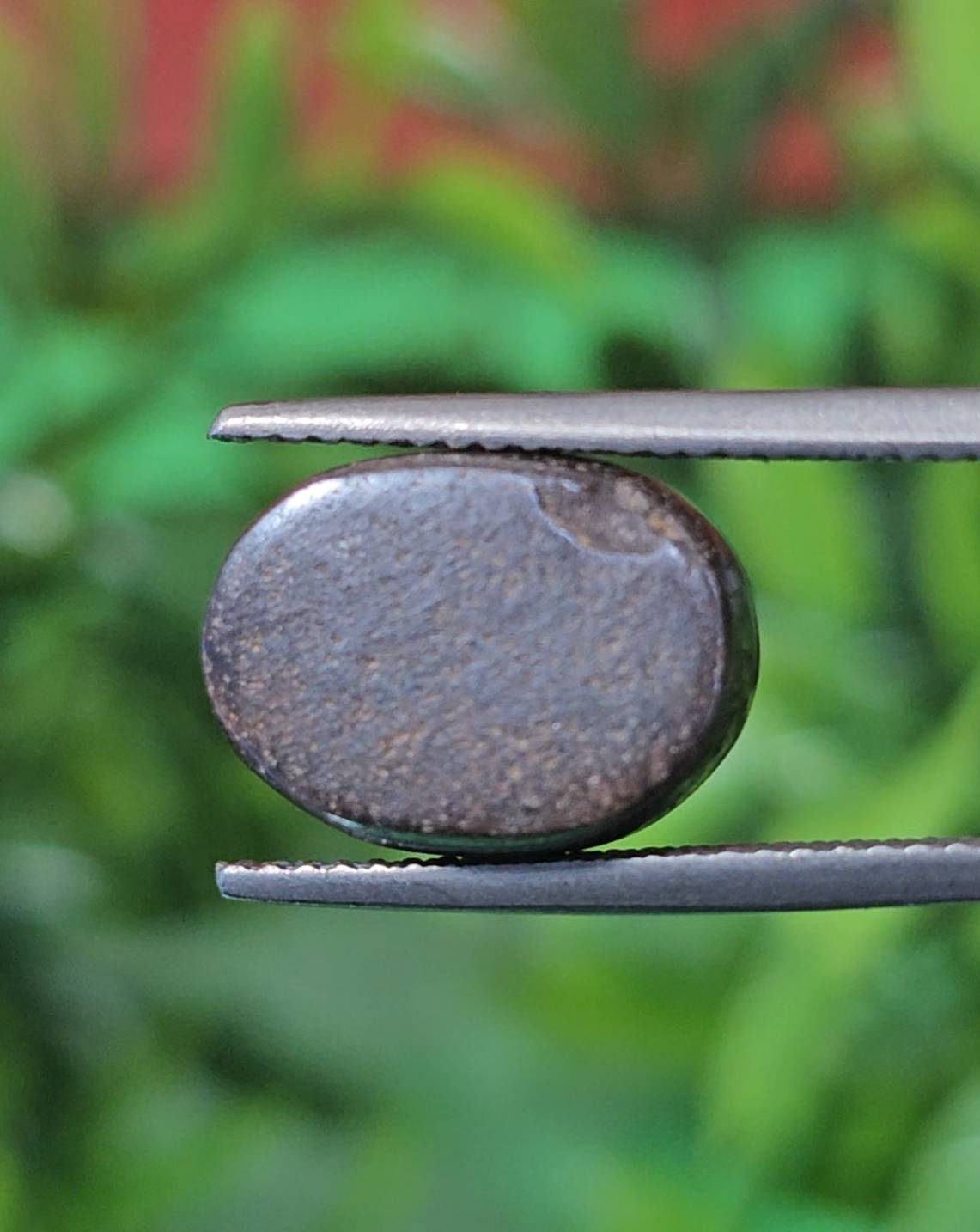 พลอย โบลเดอร์ โอปอล ออสเตรเลีย Australian Boulder Opal 6.68 กะรัต (Cts.) พลอยแท้ อัญมณีมงคลประจําวันเกิด เครื่องประดับพลอย