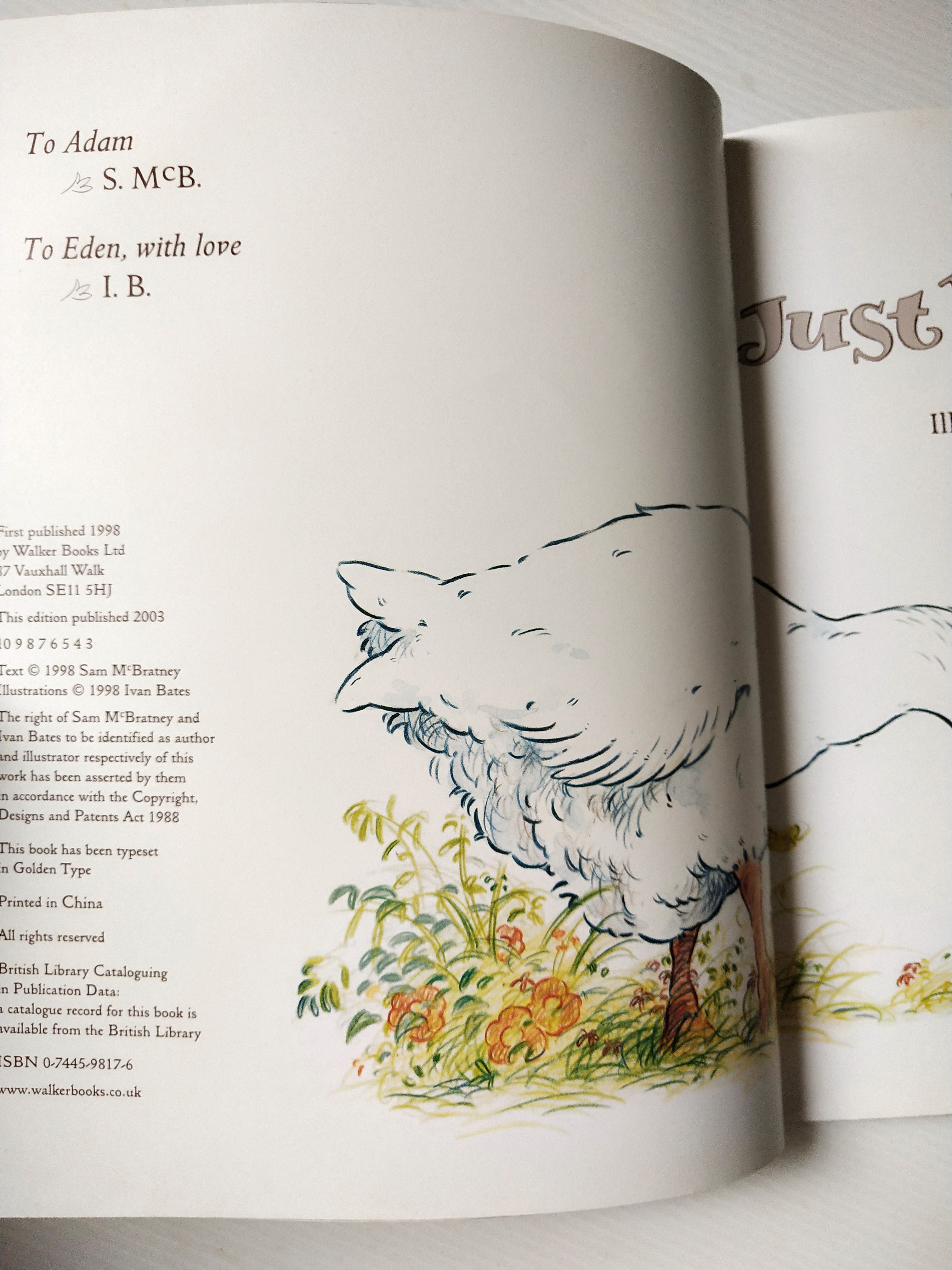 หนังสือนิทานฉบับภาษาอังกฤษ เรื่องราวของครอบครัวห่าน และห่านน้อย จาก SAM MCBRATNEY,"Just You and Me" ภาพโดย Ivan Bates