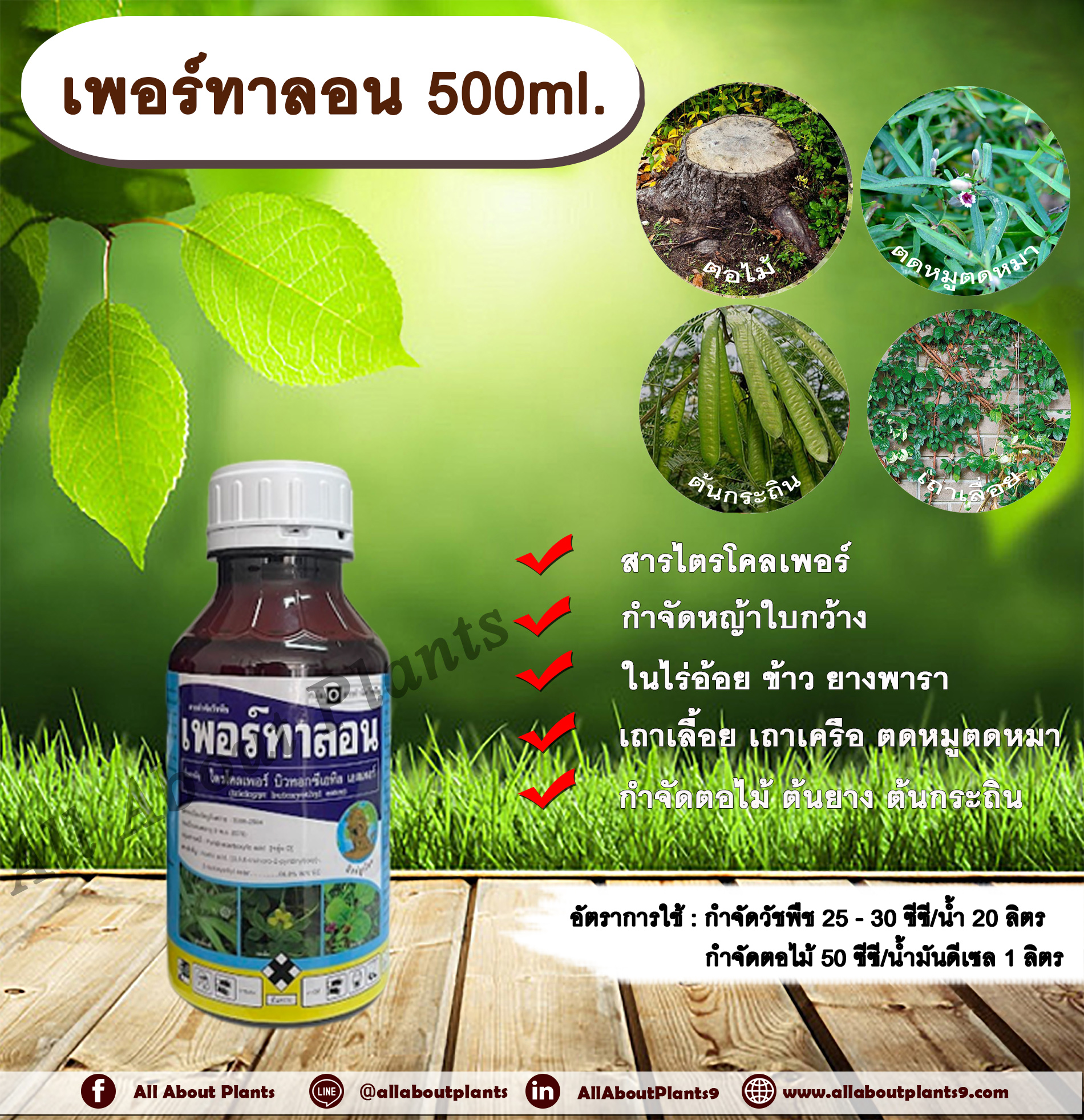 เพอร์ทาลอน 500ml. สารกำจัดวัชพืช สารกำจัดหญ้า หญ้าใบกว้าง เถาเลื้อย เถาเครือ ตดหมูตดหมา กำจัดตอไม้ ต้นไม้ ต้นยาง ต้นกระถิน ทาตอไม้ ทาต้นไม้ ดูดซึม ชิ้น