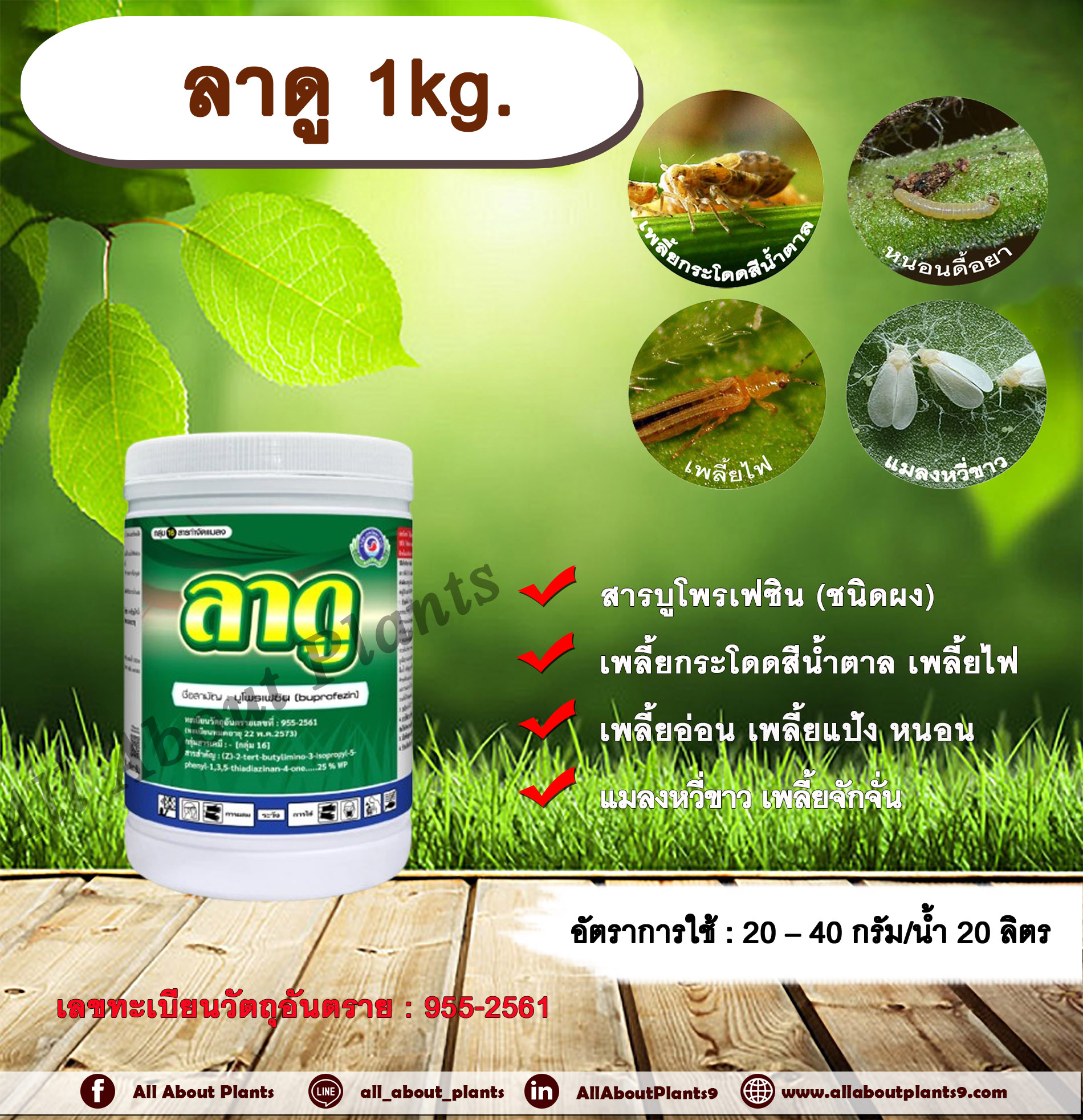 ลาดู 1kg. บูโพรเฟซิน สารกำจัดแมลง ยับยั้งการลอกคราบ เพลี้ยกระโดดสีน้ำตาล เพลี้ยไฟ แมลงหวี่ขาว คุมไข่เพลี้ย แมลง หนอน ลดการวางไข่ของเพลี้ย allaboutplants กระป๋อง