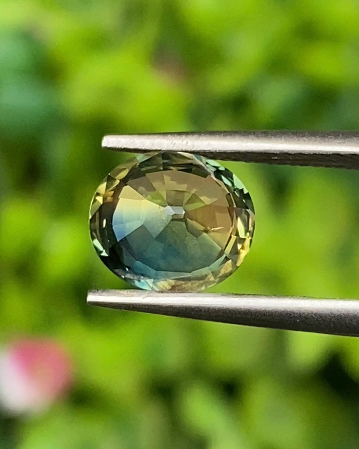 พลอย แซฟไฟร์ 2 สี Bi-Color Sapphire 2.32 กะรัต (Cts.) พลอยแท้ อัญมณีมงคลประจําวันเกิด เครื่องประดับพลอย