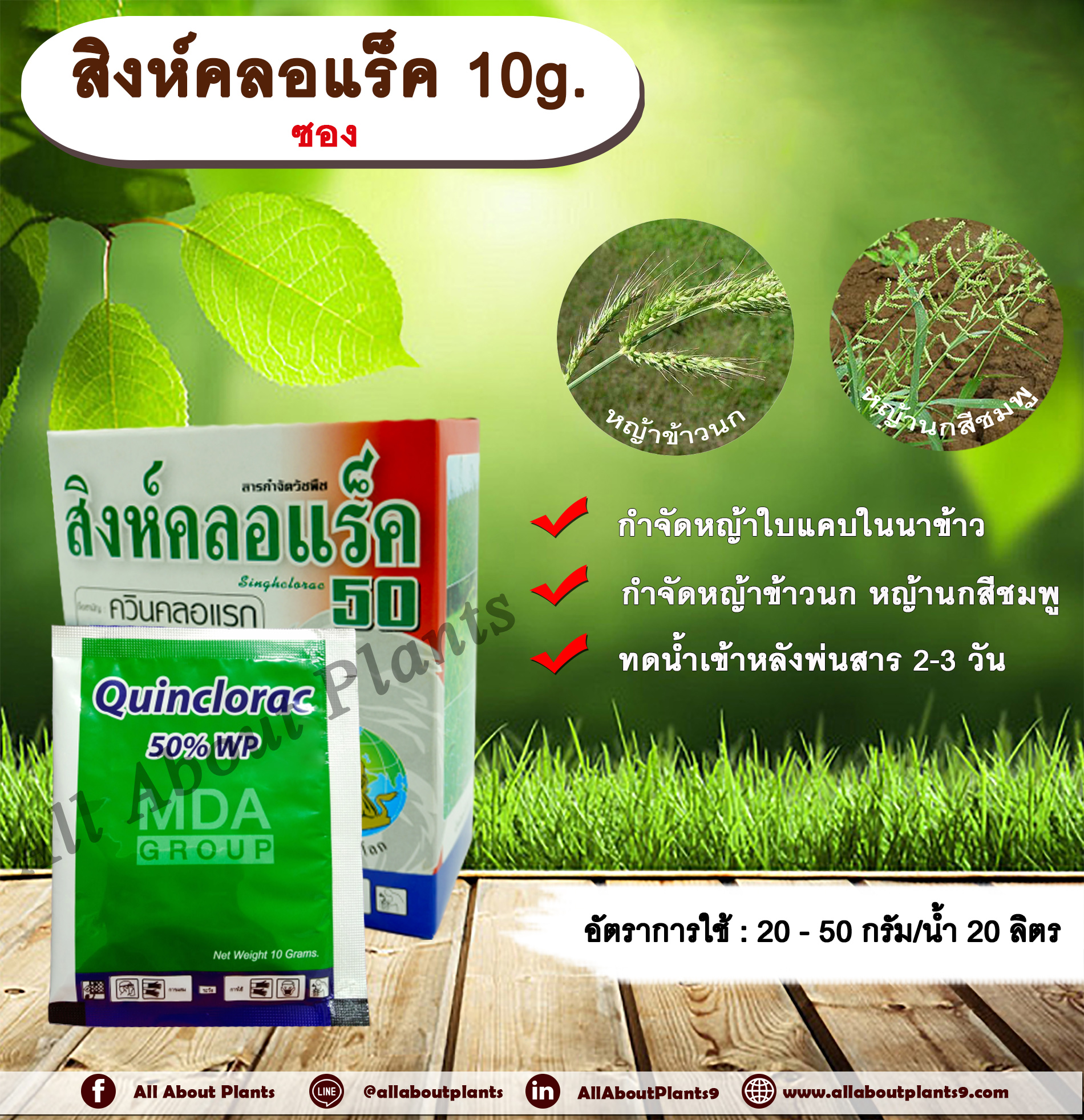 สิงห์คลอแร็ค 10g. 10g./ซอง ควินคลอแรก สารกำจัดวัชพืช กำจัดหญ้า ในนาข้าว หญ้าข้าวนก หญ้านกสีชมพู allaboutplants ชิ้น