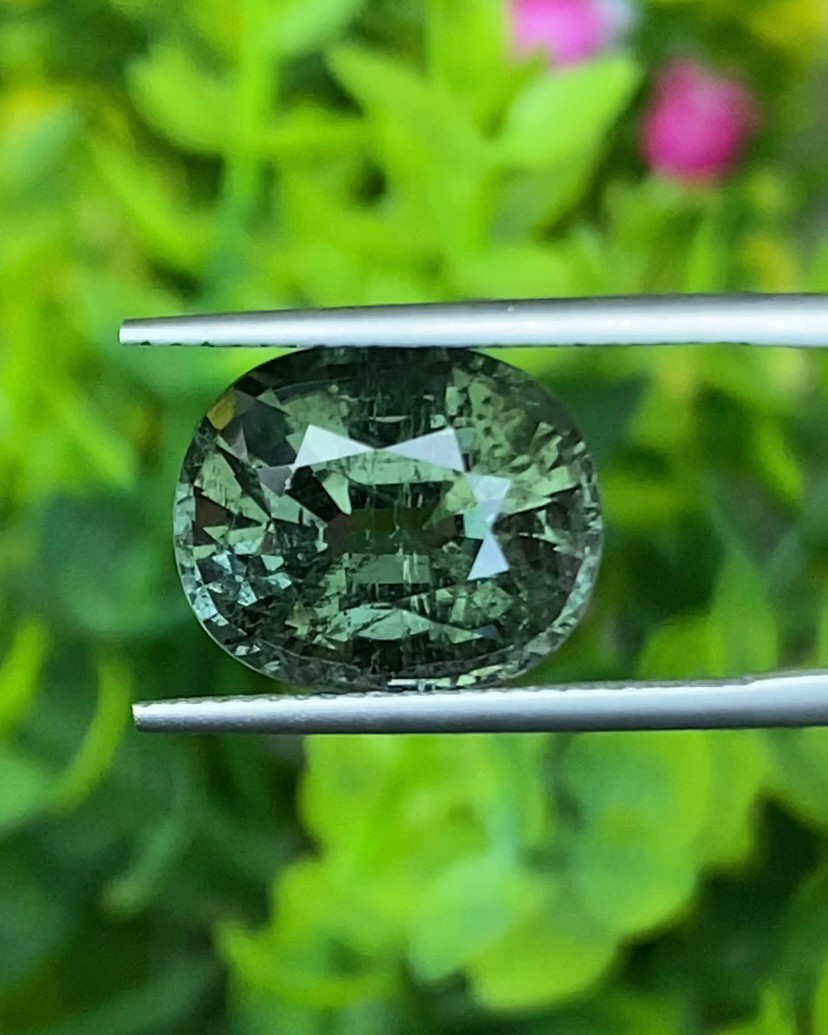 พลอย ทัวร์มาลีน Tourmaline 8.52 กะรัต (Cts.) พลอยแท้อัญมณีมงคล ประจําวันเกิด เครื่องประดับพลอย
