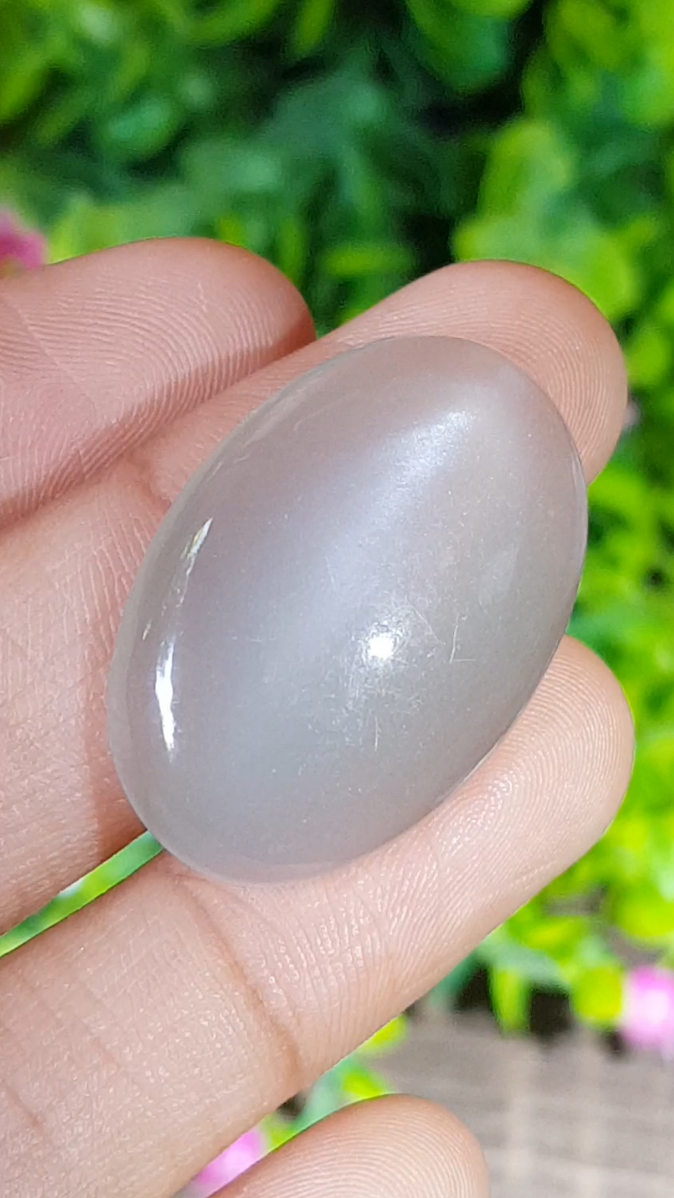 พลอย ตาแมว มูนสโตน Cat eye Moonstone 32.69 กะรัต (Cts.)พลอยแท้ อัญมณีมงคลประจําวันเกิด เครื่องประดับพลอย