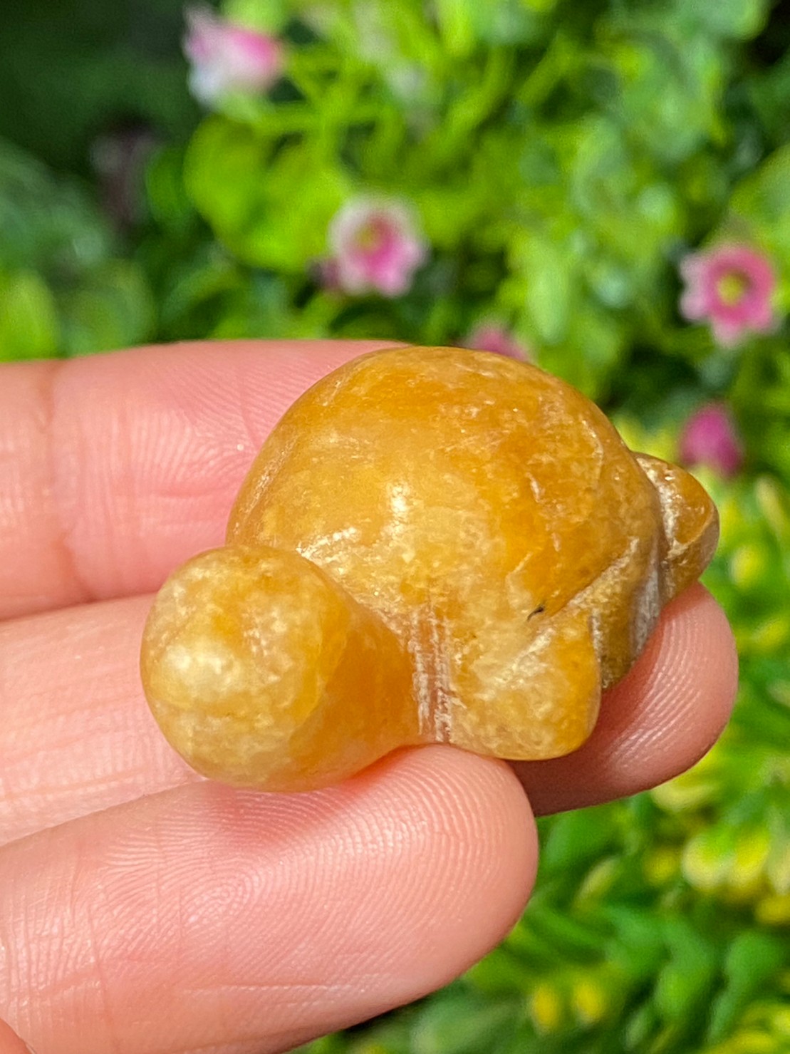 หยกแกะสลัก เต่า หยก พม่า แท้ (Burmese jadeite)