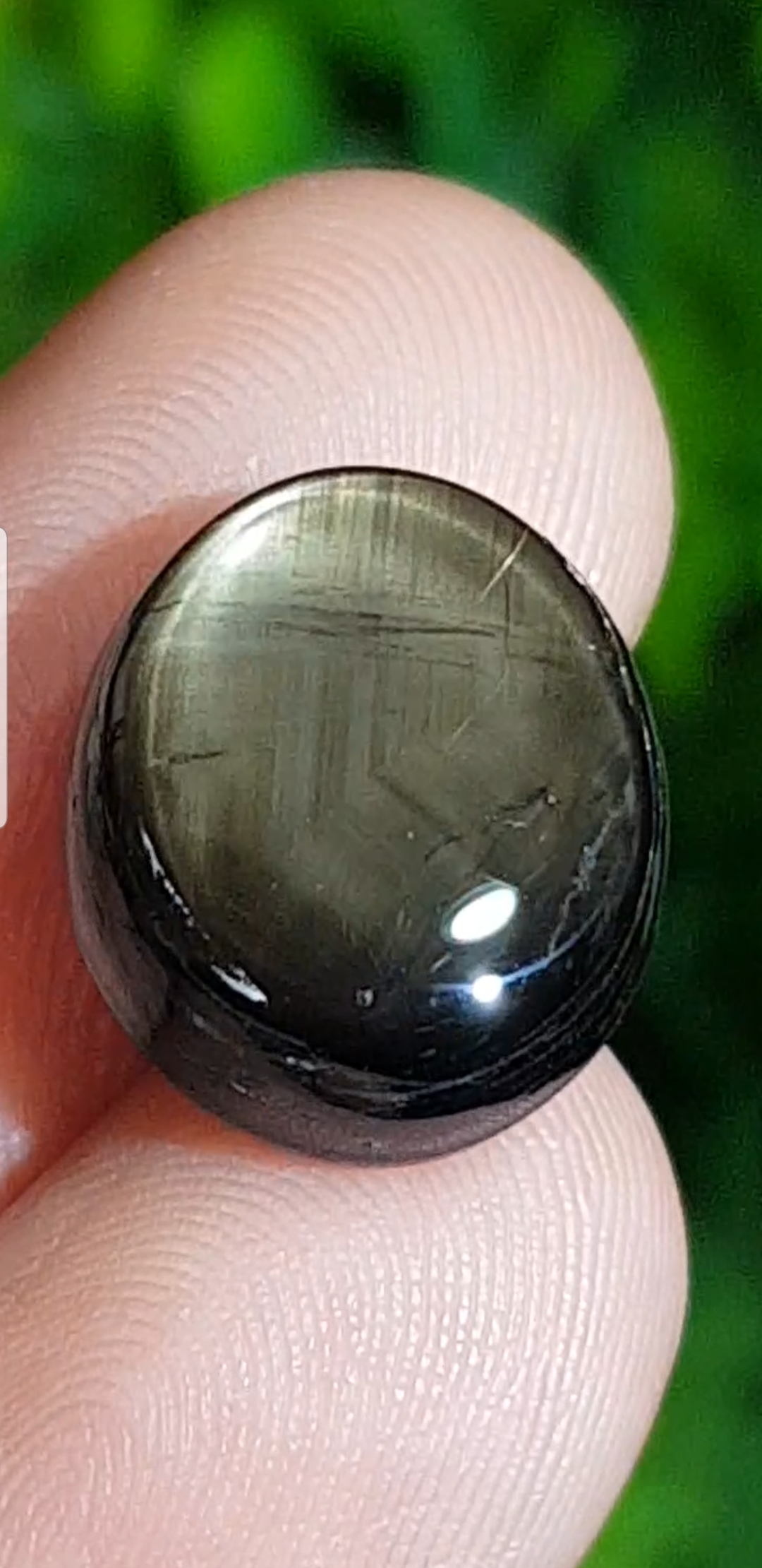 พลอย แบล็ค สตาร์ แซฟไฟร์ Black Star Sapphire 12.05 กะรัต (Cts.) ดิบ Unheated พร้อมใบเซอร์ พลอยแท้ อัญมณีมงคลประจําวันเกิด เครื่องประดับพลอย