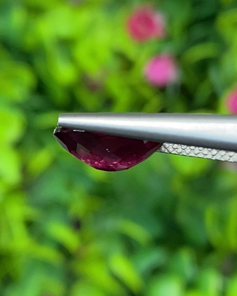 พลอย โรโดไลต์ กาเน็ท Rhodolite Garnet 4.025 กะรัต Cts.พลอยแท้ อัญมณีมงคลประจําวันเกิด เครื่องประดับพลอย