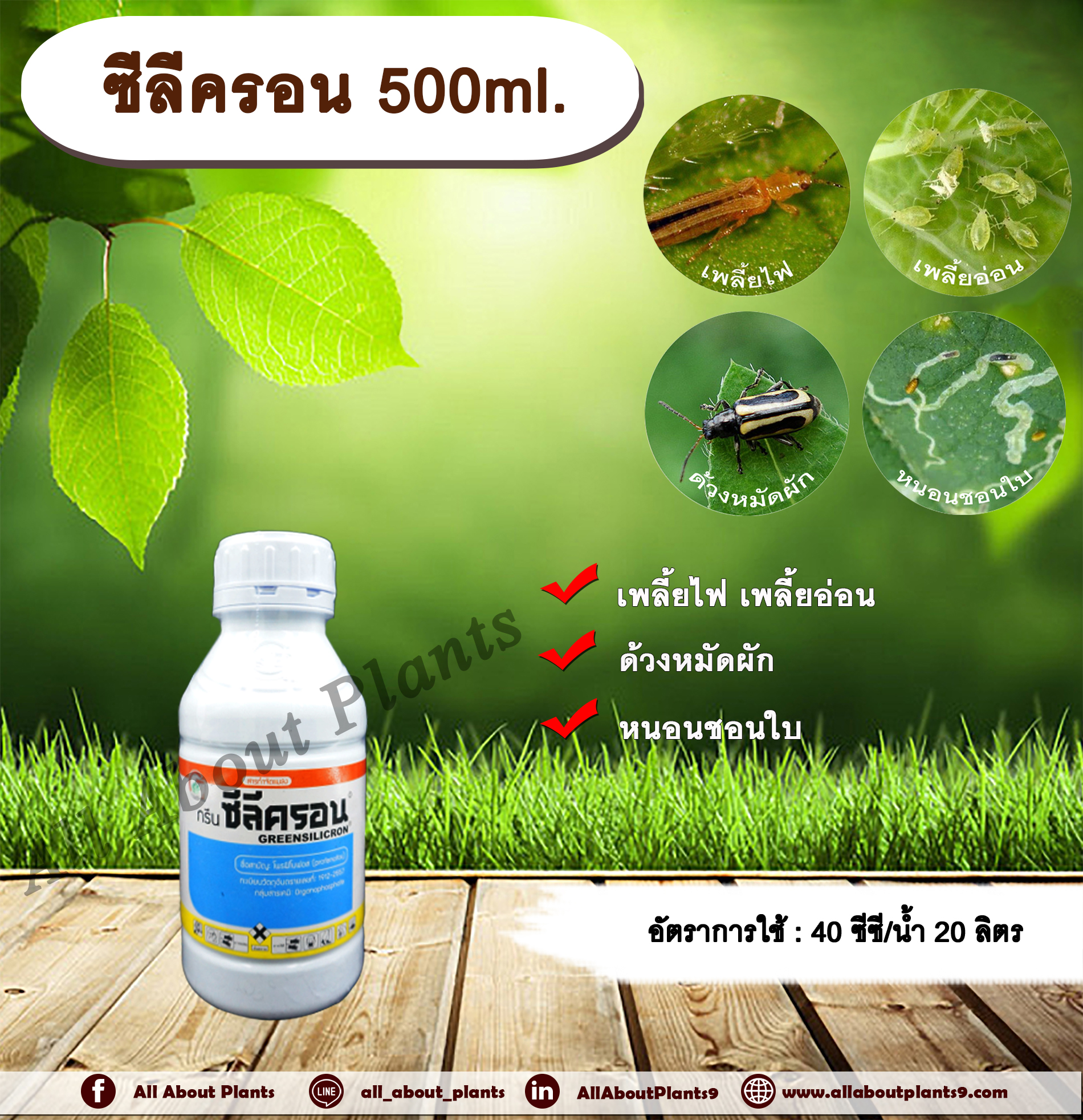 ซีลีครอน 500ml. โพรฟีโนฟอส เพลี้ยไฟ เพลี้ยอ่อน ด้วงหมัดผัก หนอนชอนใบ สารกำจัดแมลง สารกำจัดศัตรูพืช allaboutplants ชิ้น